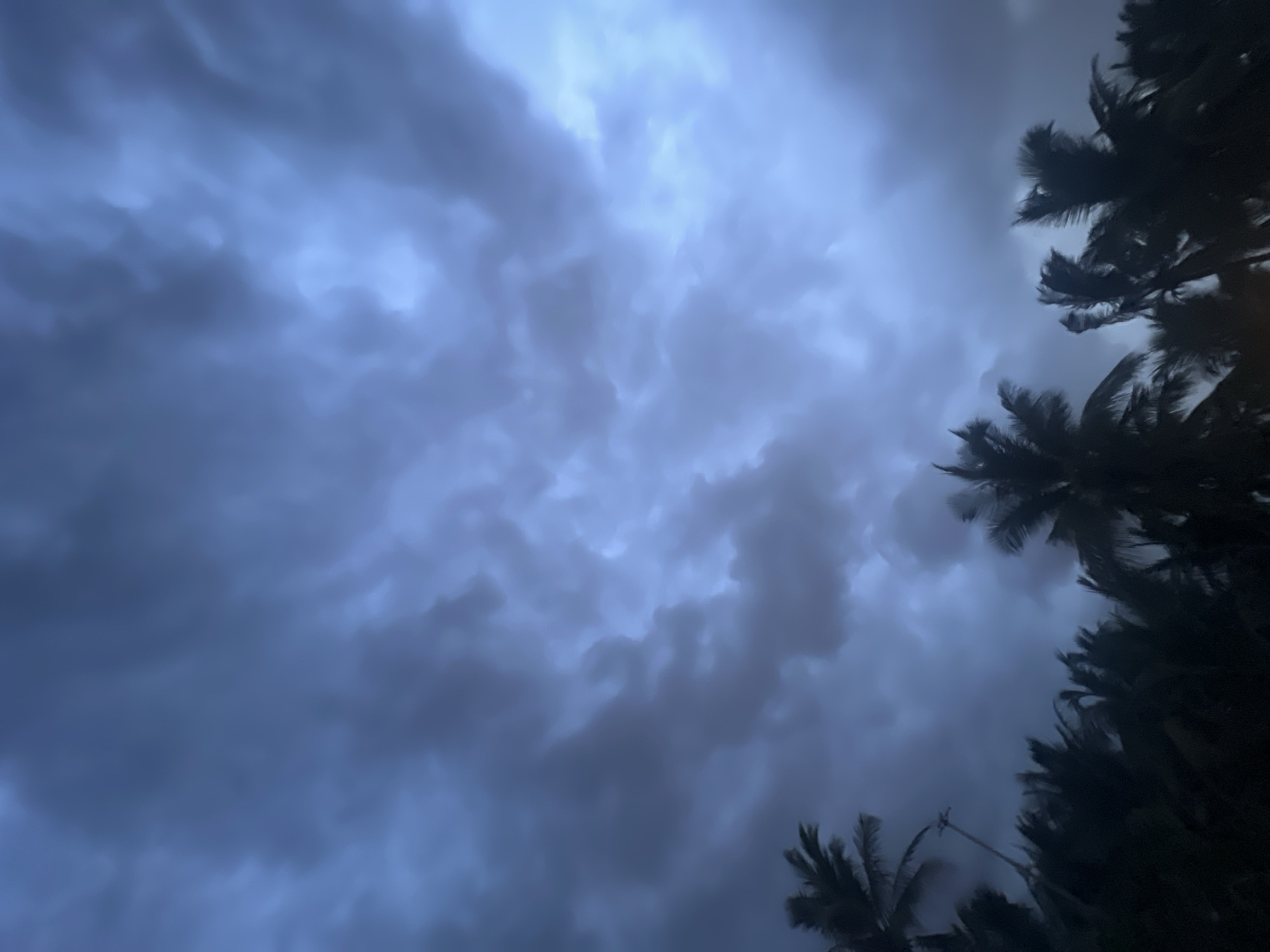 The image shows a dark, stormy sky filled with heavy, gray clouds. Silhouetted against the sky are the fronds of several palm trees, suggesting a tropical or subtropical location. There are no people or animals visible in the image. The lighting is dim, indicating either early morning, late evening, or a heavily overcast day. The overall mood is dramatic and somewhat ominous due to the dark clouds. The image does not provide any specific visual cues to pinpoint a location within the city of Đà Nẵng, Vietnam, other than the presence of palm trees, which are common in coastal areas of Vietnam.