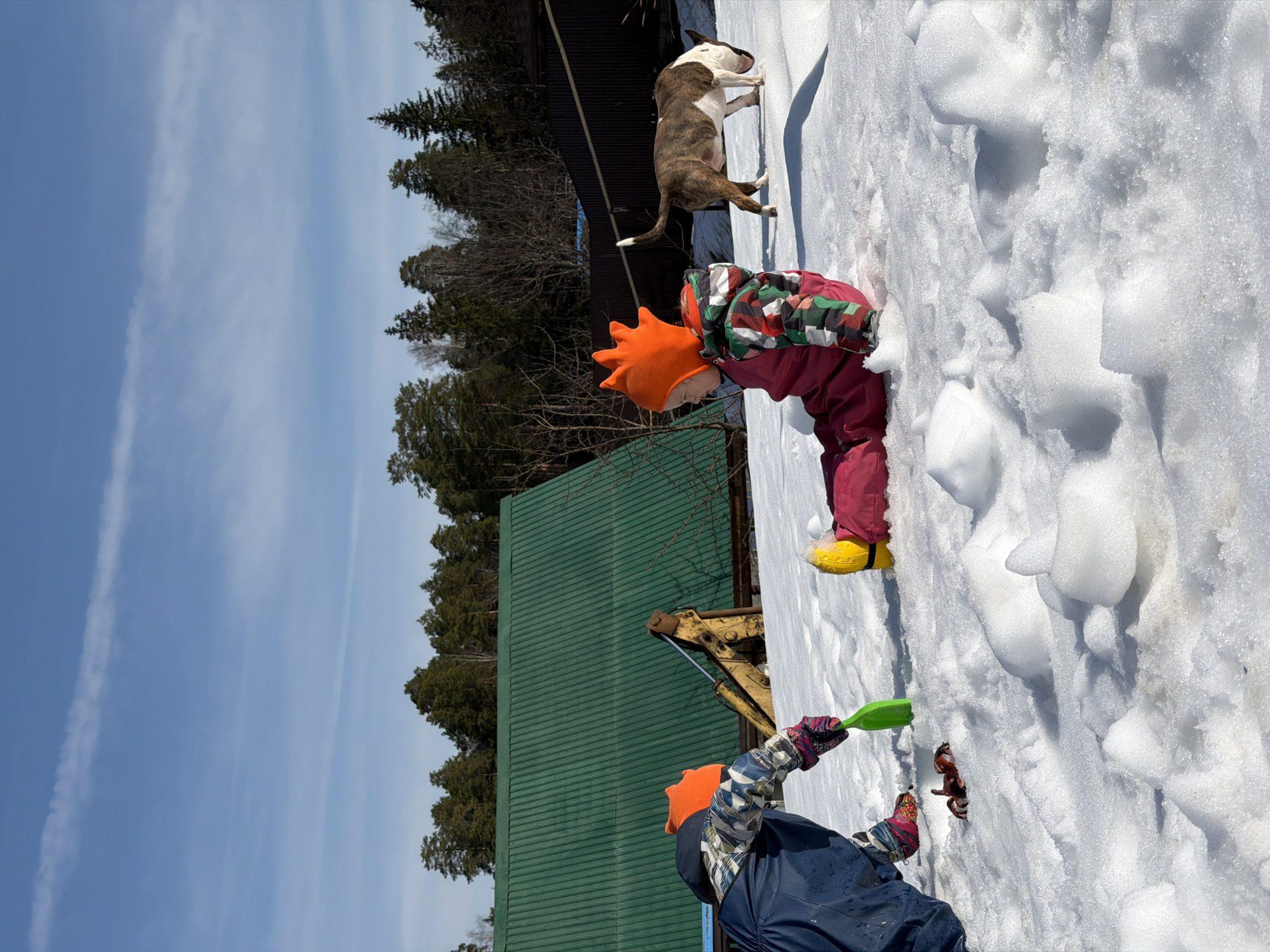 The image shows a winter scene in Chaikovsky, Russia. Two children are playing in the snow on a sunny day. One child, wearing an orange hat and a red and green jacket, is near a patch of snow, while the other, wearing a blue jacket and an orange hat, is on the ground, playing with a green shovel and a toy in the snow. A brindle and white dog stands on the snow in the background. Behind the children are trees and a building with a green roof and a piece of heavy machinery. The sky is blue with some clouds.