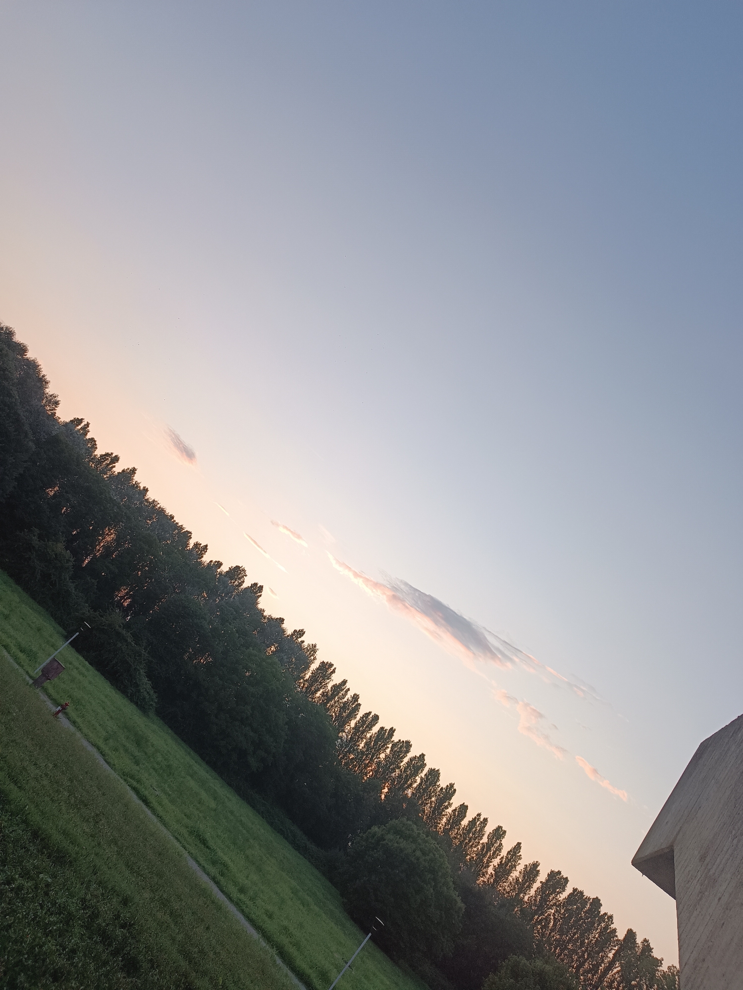 The image shows a diagonal view of a landscape at sunset, with a clear sky transitioning from light blue to pale orange. A dense line of trees, appearing to be poplars, runs diagonally from the bottom left to the top right, silhouetted against the sky. The trees are lush green and evenly spaced, suggesting they form a windbreak or a deliberate planting. Below the trees, a grassy slope is visible, with patches of darker green indicating uneven terrain or different types of vegetation. A narrow, light-colored path winds its way up the slope. To the far left of the image, a lamppost and a small, reddish-brown brick structure are partially visible on the grassy area. In the lower right corner, the corner of a concrete building with a sharp angle is present. Faint, wispy clouds, tinged with pink from the sunset, are scattered across the sky. The overall impression is of a tranquil, natural setting on the outskirts of a city, possibly a park or rural area. Given the prompt's request, this scene is situated in Casalmaggiore, Italy, likely depicting an area near the Po River or a green space within the municipality, characterized by agricultural land and planned tree lines typical of the region.