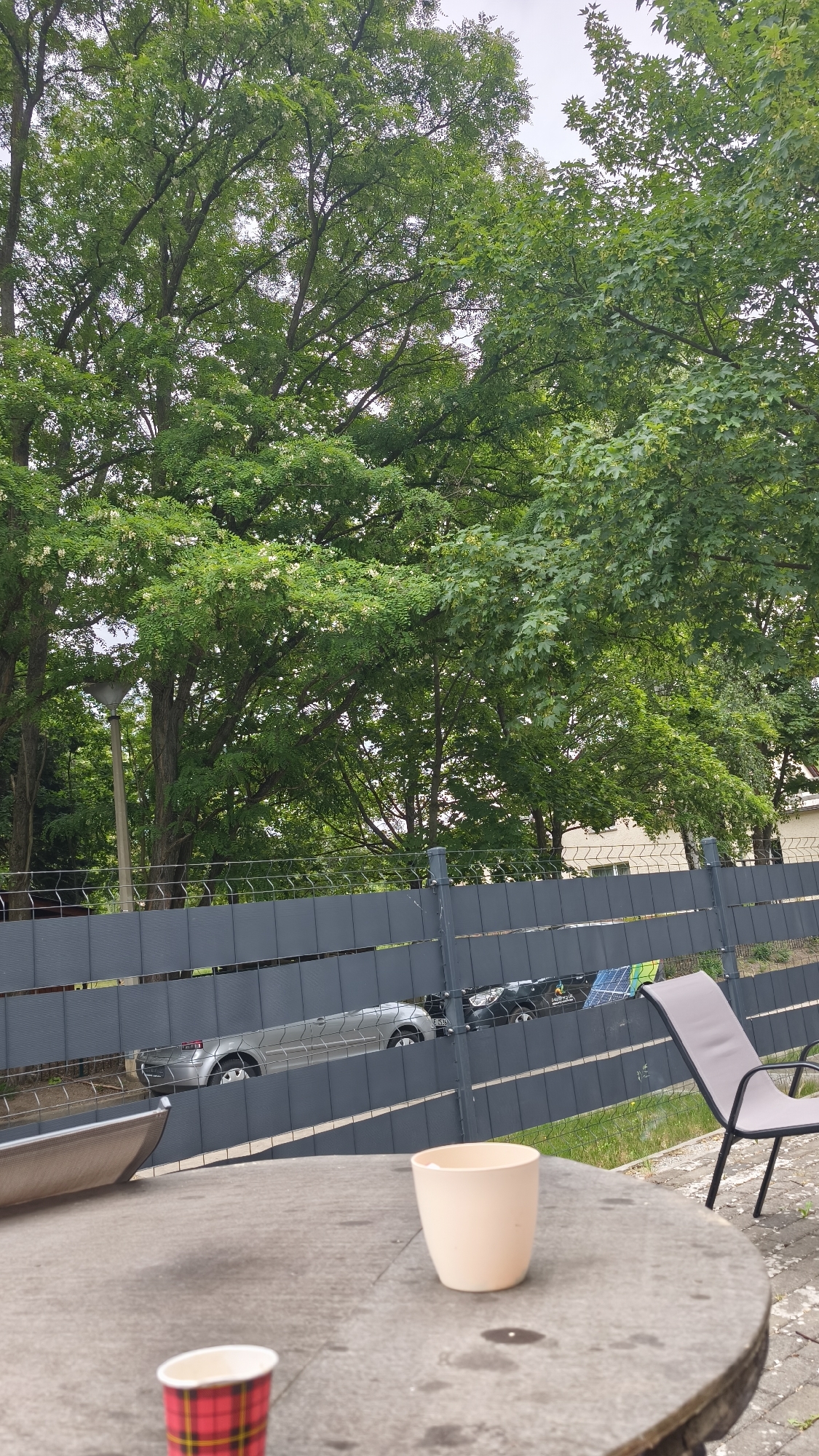 The image captures a scene in an outdoor setting, likely a yard or patio, as suggested by the presence of a round, stone-like table with two cups on it. The background features a gray fence, behind which several parked cars are visible. Beyond the fence, there is a lush green area filled with trees. A street lamp is positioned among the trees. A chair is visible near the table. The image appears to be taken on an overcast day. The location is Unknown, Unknown.