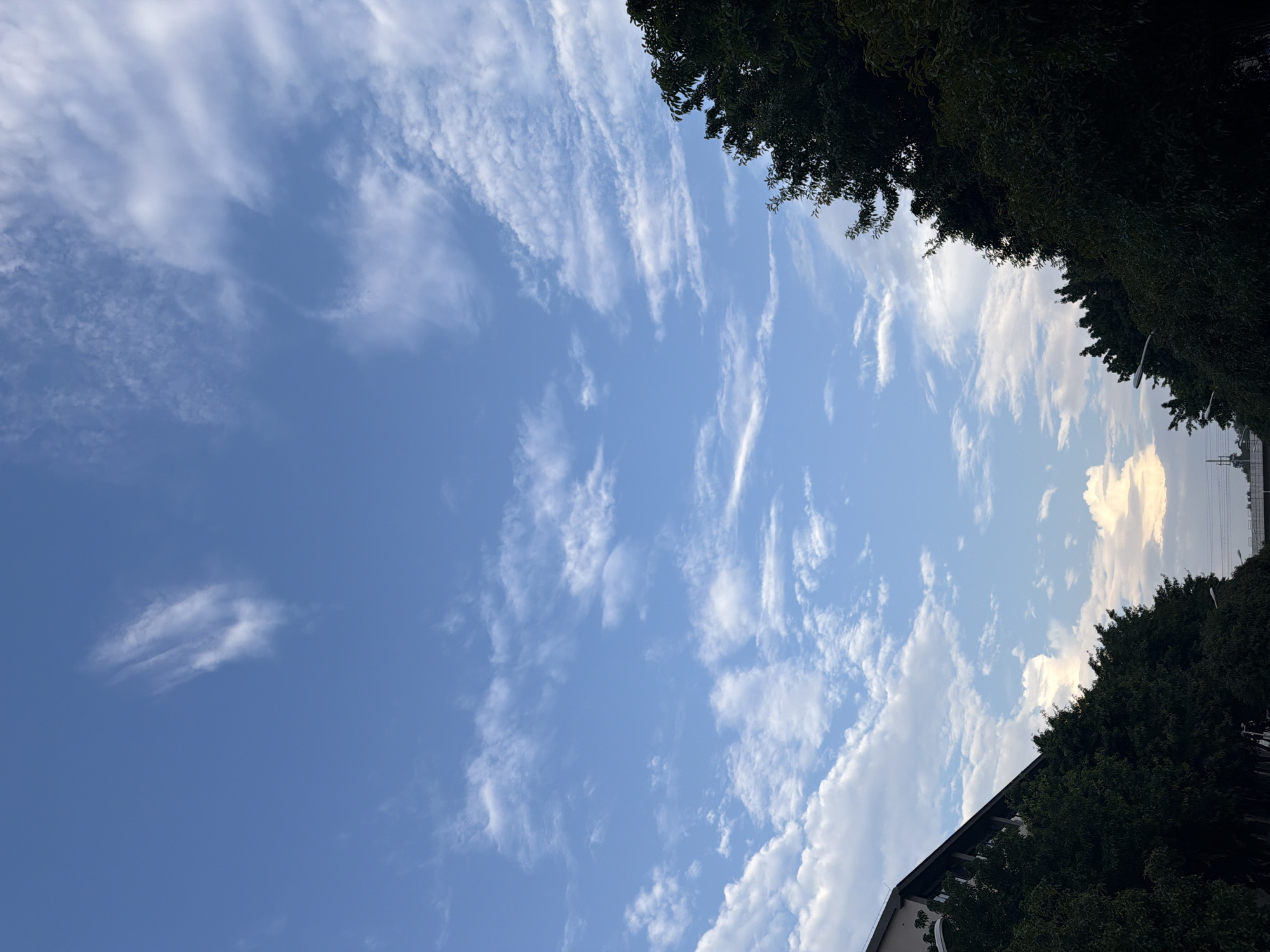 This is an outdoor, eye-level shot looking upwards towards a bright blue sky with scattered white clouds. The clouds are wispy and appear to be moving across the sky. The tops of dense, dark green trees frame the scene from the left and right edges, obscuring parts of the sky. On the far left, a portion of a modern building with a dark roof and angled facade is visible, partially obscured by the trees. The setting appears to be a city street or park in Jiangjin, China, with streetlights and possibly distant infrastructure visible at the bottom center of the frame. The lighting suggests it is daytime, with the sun likely overhead or slightly to the side, casting a bright illumination on the clouds and the tops of the trees. There are no people or animals visible in the image.