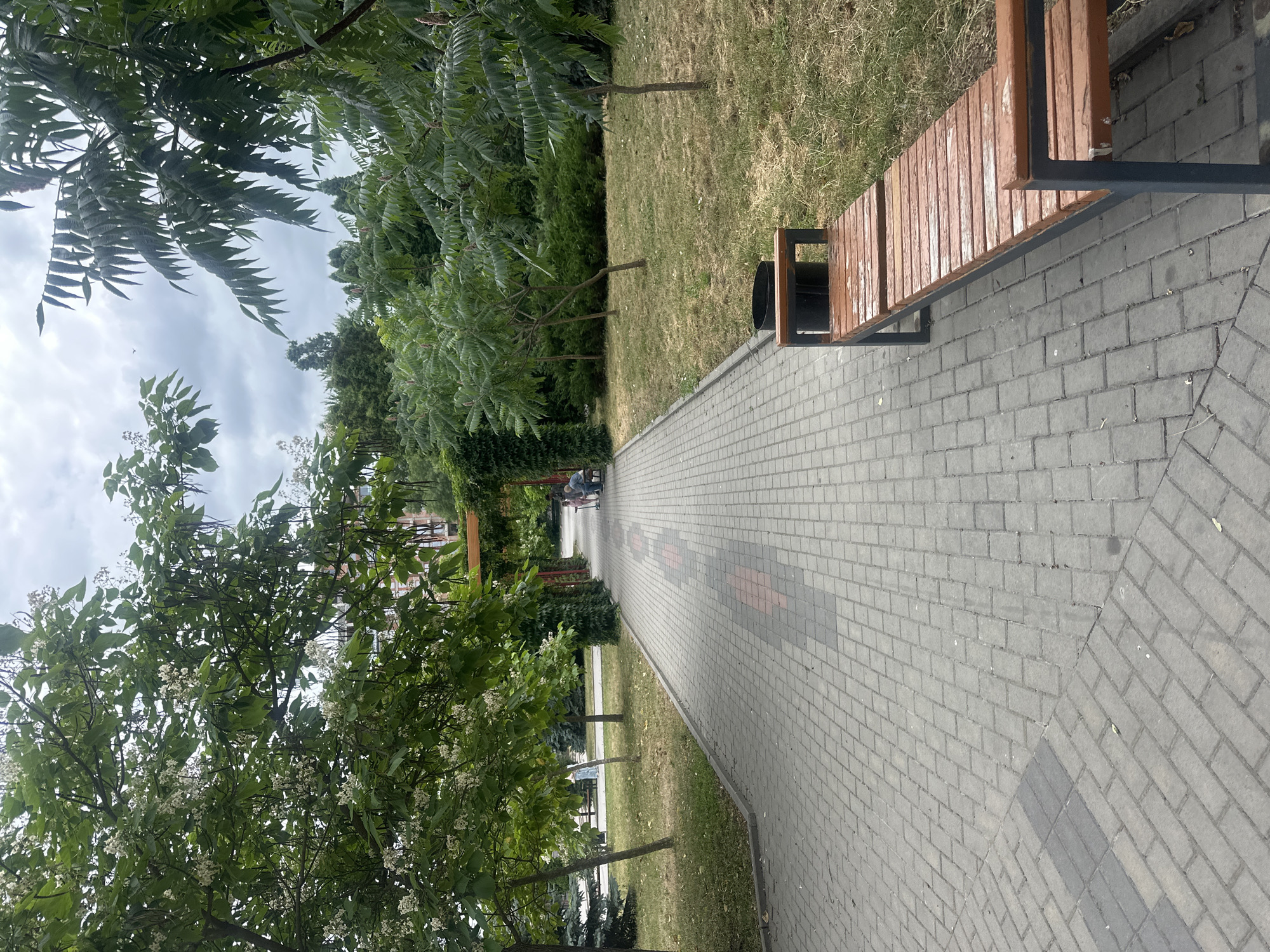 The image depicts a paved pathway in a park-like setting, likely within the city of Ternopil, Ukraine. The pathway, constructed from gray interlocking pavers, leads into the distance, curving slightly to the right. Adjacent to the pathway on the right is a dry, grassy area and a long wooden bench with a dark metal frame. Further along the pathway, a wooden archway covered in green foliage frames the view. Underneath this archway, two individuals are seated on a bench, one appearing to be an elderly person. To the left of the pathway, more trees and grass are visible, with some buildings in the background. The sky is overcast with clouds.