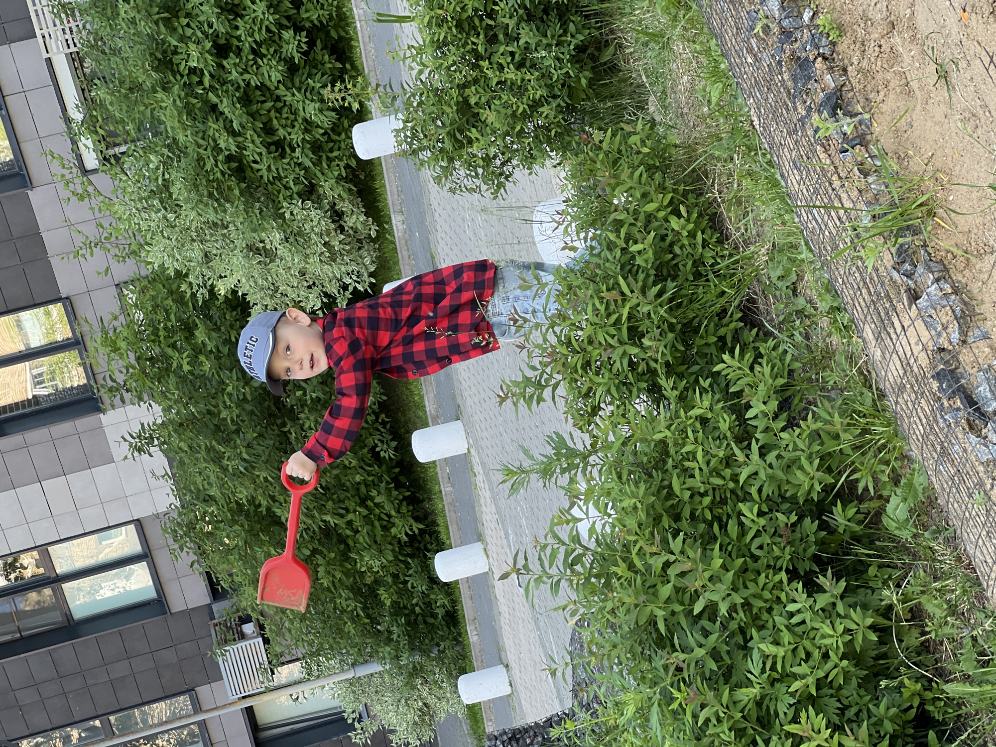 A young Caucasian boy, approximately 3-5 years old, is depicted outdoors in Mytishchi, Russia. He wears a light blue baseball cap inscribed with "ATHLETIC," a red and black plaid long-sleeved shirt, and light blue denim jeans. The boy, positioned behind dense green foliage, extends his right arm forward and slightly upward, holding a red plastic toy spade. He looks directly at the camera with a neutral expression. In the immediate foreground, there is dry soil with sparse green grass and a black wire mesh structure filled with small gray rocks. The midground features various green bushes, behind which a paved area with light gray pavers is visible, bordered by three white cylindrical bollards and a curb. The background displays a modern multi-story building with large reflective windows and a facade composed of dark gray and lighter square panels, with an exterior air conditioning unit visible on the lower left.