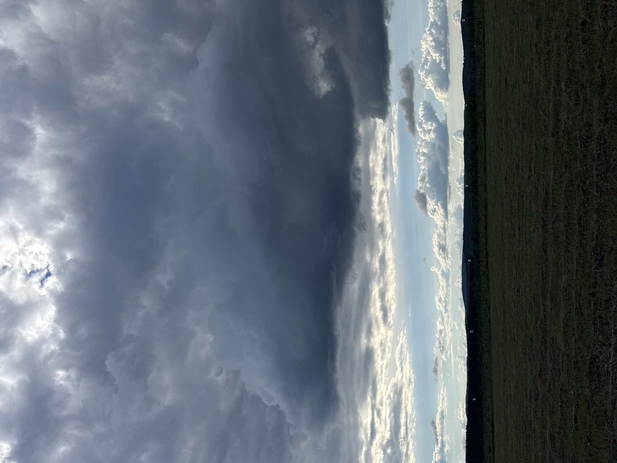 This is a photograph of a dramatic sky with dark storm clouds on the left and lighter, sunlit clouds on the right. The image is oriented vertically, as if the camera was held upright and then rotated 90 degrees counter-clockwise. A dark, menacing band of storm clouds dominates the left half of the frame, with lighter, white clouds catching the sunlight on the right. The sky transitions from dark gray to bright white and blue.
Below the sky, on the right side of the image, is a strip of land. The land appears to be a harvested field, with the stubble of cut vegetation creating a textured surface. A dark line of trees or a forest separates the field from the sky in the distance. A thin fence line is also visible running horizontally across the middle ground, with a few white spherical objects or lights visible along it. The overall impression is one of a transition from an impending storm to a clearing sky, with the sun breaking through. The time of day appears to be late afternoon or early evening, given the low angle of the sunlight illuminating the clouds and casting the field into shadow. The location is Mursalimkino, Russia. No people or explicit objects are the focus, the scene is dominated by the natural elements of sky and land.