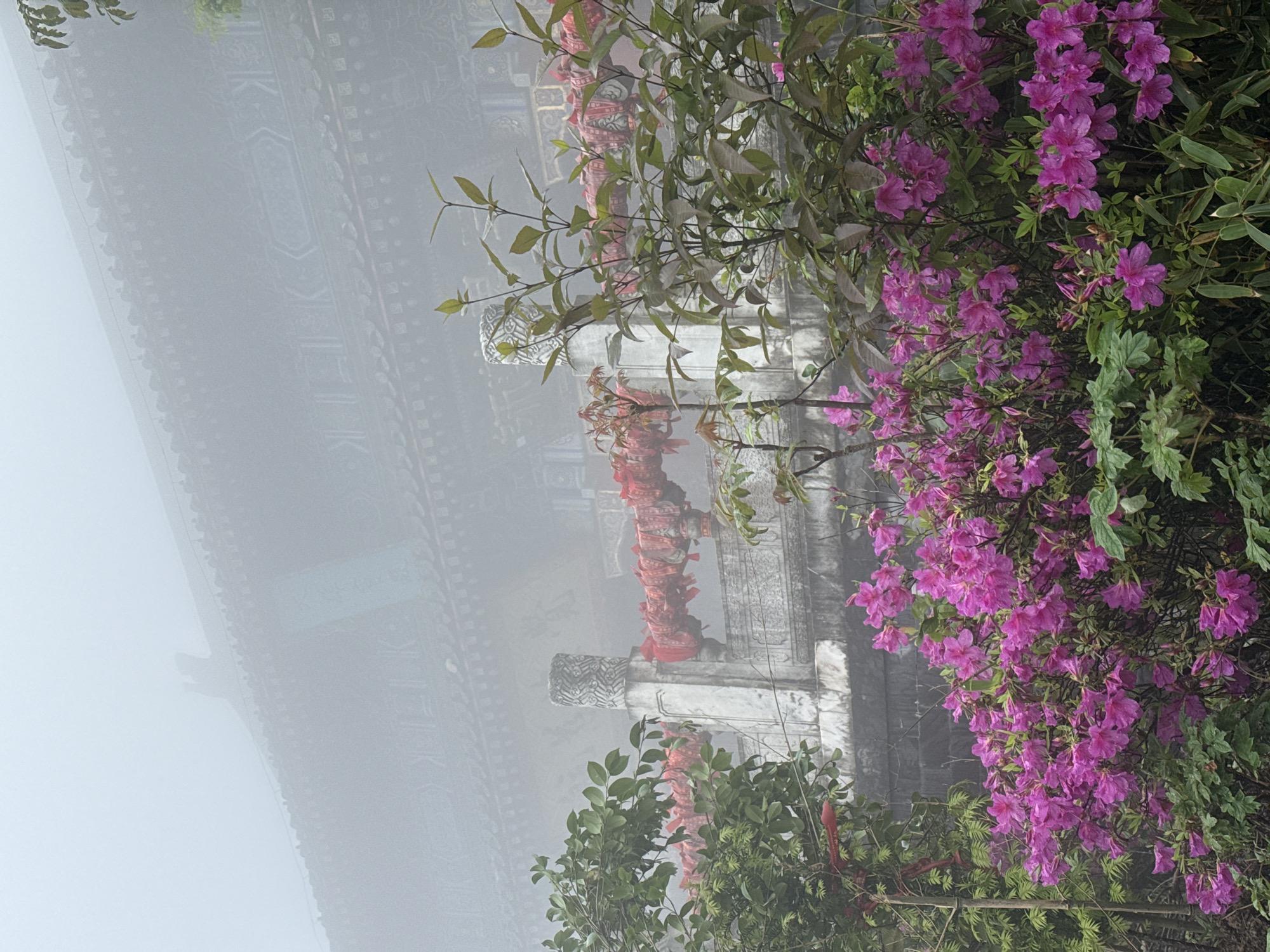 The image depicts a misty scene at the Yongding District in China. A traditional Chinese building with ornate carvings is partially visible through the heavy fog. Bright pink flowers and green foliage in the foreground partially obscure the building. Red decorations adorn parts of the structure.