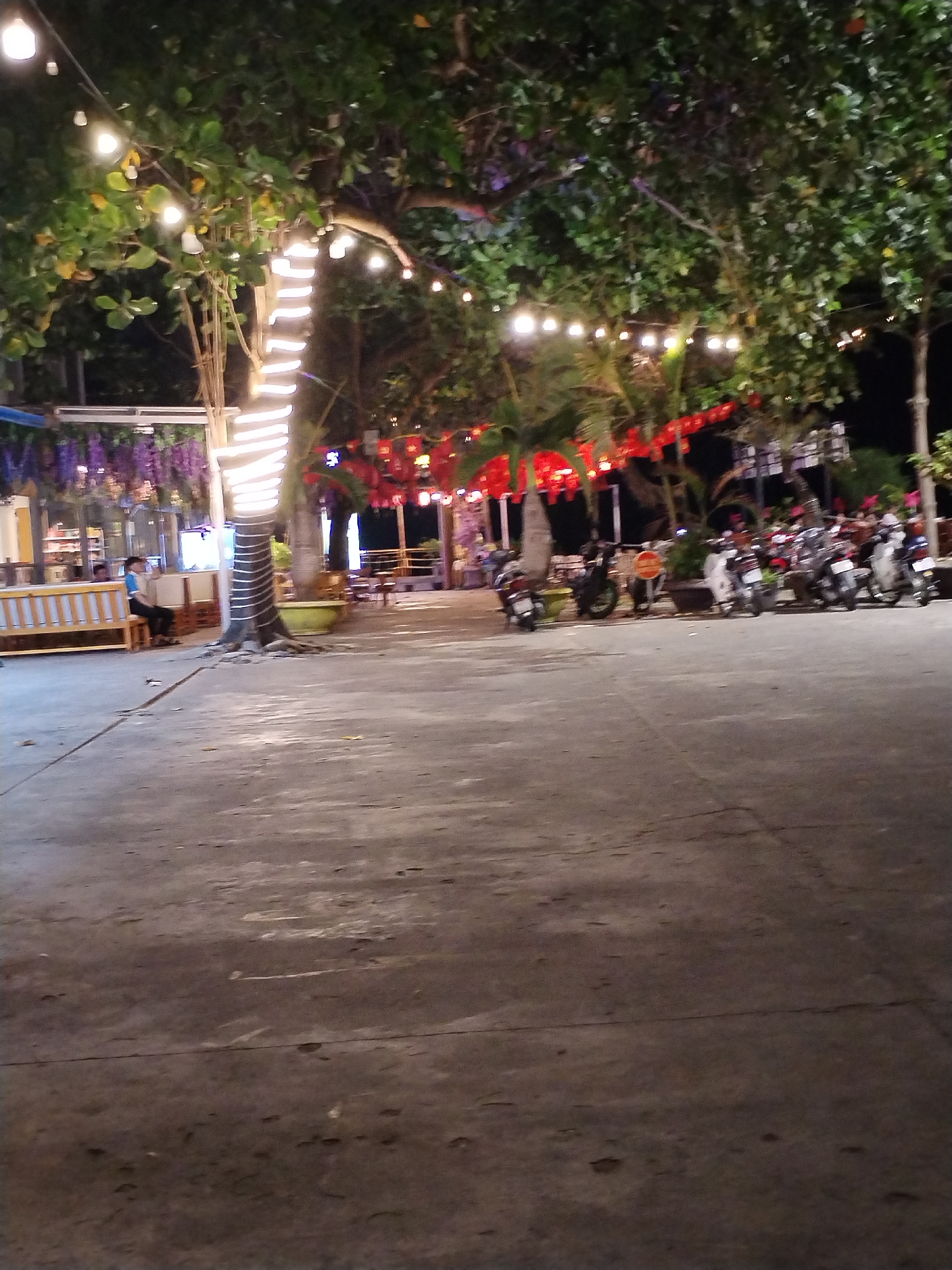 The scene is an outdoor space in Nha Trang Ward, Vietnam at night. Strings of lights are hung between trees, some are wound around the trunks. A man is sitting on a bench near a building with purple flowers. There are motorbikes parked in a row.