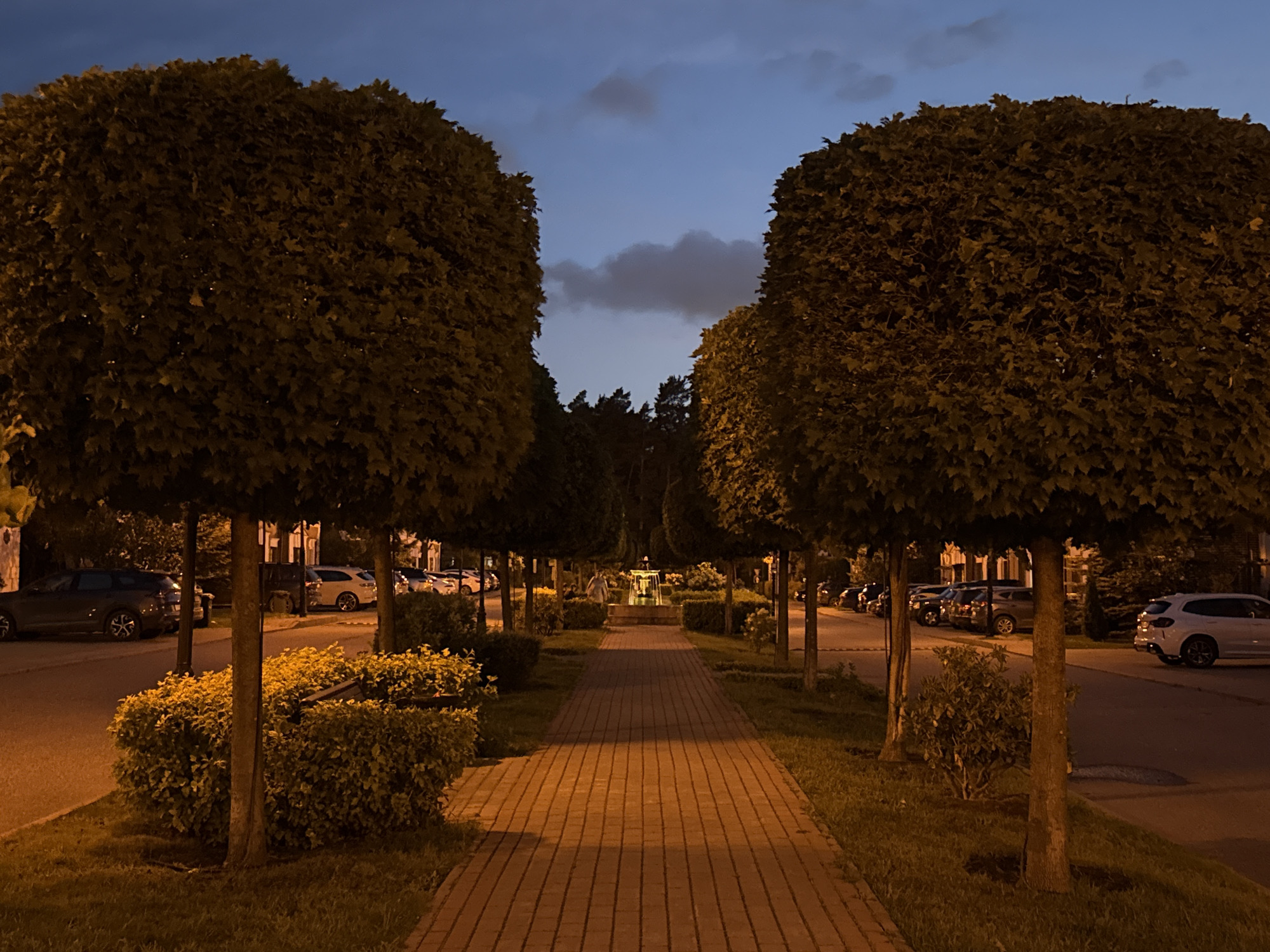 The image depicts a twilight scene in Lopatino, Russia, featuring a paved walkway lined with manicured trees and bushes. The walkway, constructed of rectangular brick pavers, leads towards a small fountain in the distance, around which more manicured landscaping is visible. On either side of the walkway, cars are parked along the street, illuminated by ambient light. The sky above is a deep blue with some scattered clouds. The overall impression is one of a tranquil, well-maintained urban or suburban environment.