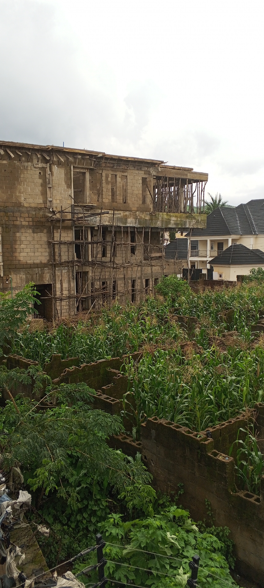 The image captures an outdoor scene in the city of Jos, Nigeria. In the foreground, a patch of overgrown vegetation, including what appears to be cornstalks, is bordered by a low, weathered concrete wall. Beyond this, a multi-story building is under construction. The building is made of light-colored bricks and features exposed wooden scaffolding along its sides and front. Several windows and doorways are visible, some open and others incomplete. In the background, to the right of the construction site, are two finished houses with dark pitched roofs, suggesting a residential area. The sky is overcast and appears a dull gray. The overall impression is one of ongoing development amidst a semi-urban or semi-rural setting in Jos.