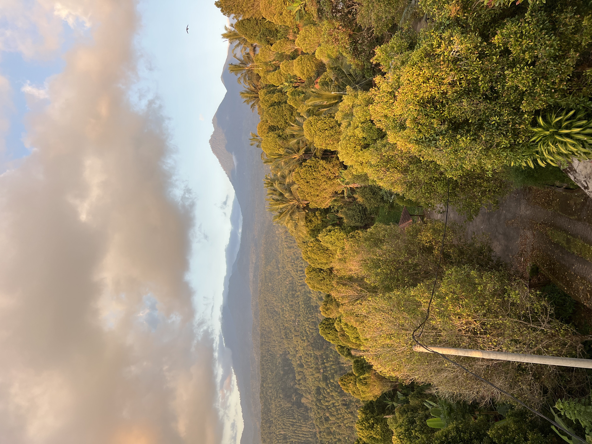 This is a high-angle, eye-level, medium shot photograph of a lush, green, mountainous landscape in Busungbiu, Indonesia. The scene is bathed in the warm glow of sunset, casting long shadows and highlighting the vibrant foliage. In the foreground, a dirt path winds through dense vegetation, with a utility pole on the left. The middle ground is dominated by a verdant hillside covered in a variety of trees, including palm trees. In the background, rolling hills fade into the distance, culminating in a majestic mountain range under a sky filled with soft, peach-colored clouds. A solitary bird is captured in flight against the blue sky. The overall atmosphere is one of natural beauty and tranquility.