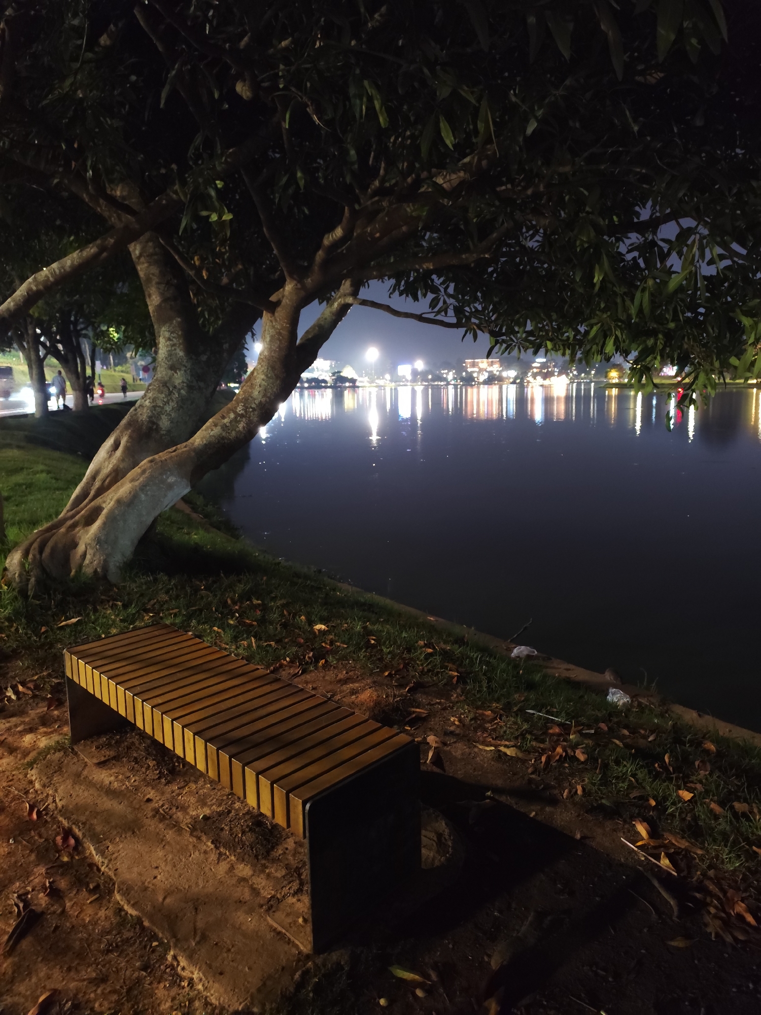 A bench sits under a large tree on the shore of a lake at night. In the distance, lights are reflected on the water. The scene is in Da Lat, Vietnam.