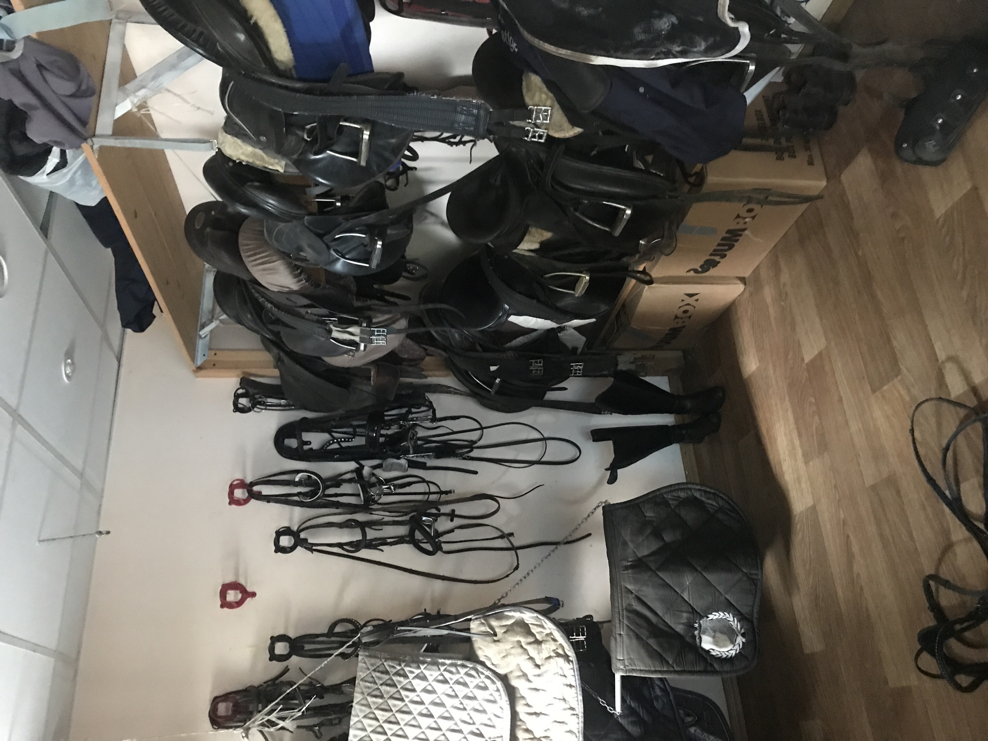 The image depicts an indoor storage area in what appears to be a tack room, possibly located in or near Pisochyn, Ukraine. Multiple English riding saddles are stacked on a wooden rack and on cardboard boxes labeled "JUMBO BOX" with a fox logo. Bridles are hanging on the wall, suspended from metal or plastic hooks. Also visible are saddle pads, possibly quilted or made of sheepskin. A pair of riding boots and a set of tangled reins are on the wooden floor. Clothes are visible on a rack.