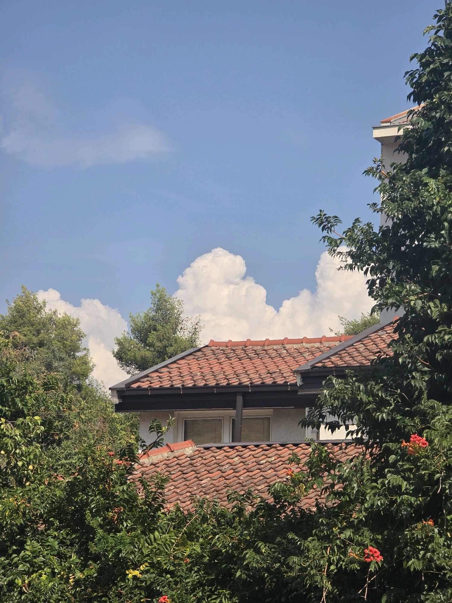 This image captures a daytime scene in Podgorica, Montenegro, with a focus on a residential building partially obscured by lush greenery. The architecture features a red-tiled roof with visible guttering and a section of a cream-colored wall with a window featuring horizontal blinds. The surrounding environment is dominated by dense foliage, including trees and flowering bushes with prominent orange-red blossoms. In the background, a bright blue sky is dotted with fluffy white cumulus clouds. The image provides a clear view of the building's roofline and upper story, suggesting a suburban or residential area within the city. There are no people or animals present in the frame.