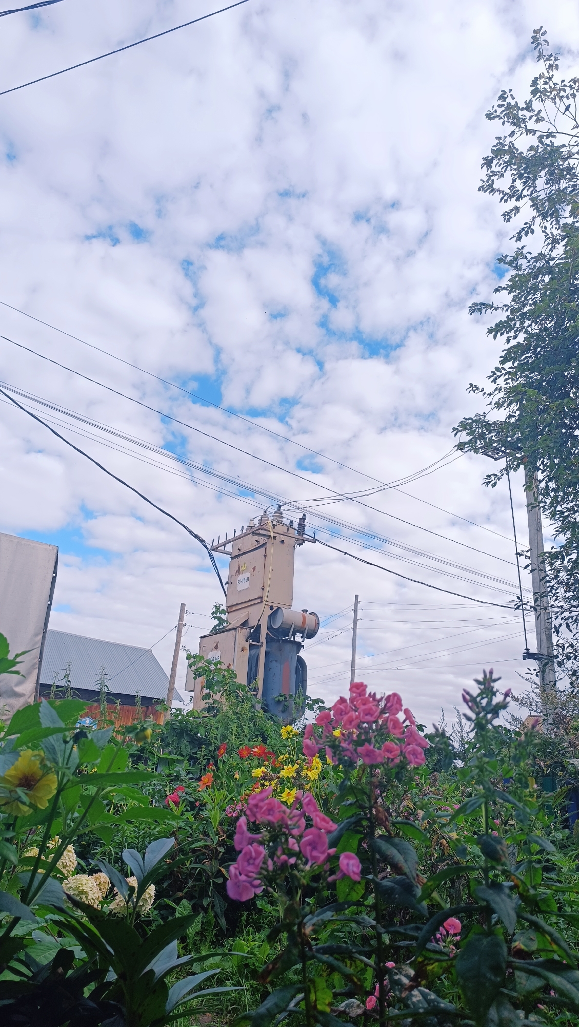 The image depicts an outdoor scene with a focus on a flower garden in the foreground, set against a backdrop of utility infrastructure and buildings. The garden is filled with a variety of flowers in shades of pink, yellow, and red, interspersed with lush green foliage. In the mid-ground, a large electrical transformer stands prominently, supported by utility poles and a complex network of overhead wires. To the left of the transformer, a building with a grey, corrugated metal roof is visible. The sky above is partly cloudy, with a mix of white clouds and patches of blue. The overall impression is one of a somewhat rural or semi-urban environment, possibly a backyard or a community garden area, where nature and industrial elements coexist. No people are visible in the image. The location in the city of Karsha, Russia, is not discernible from the visual information provided.
