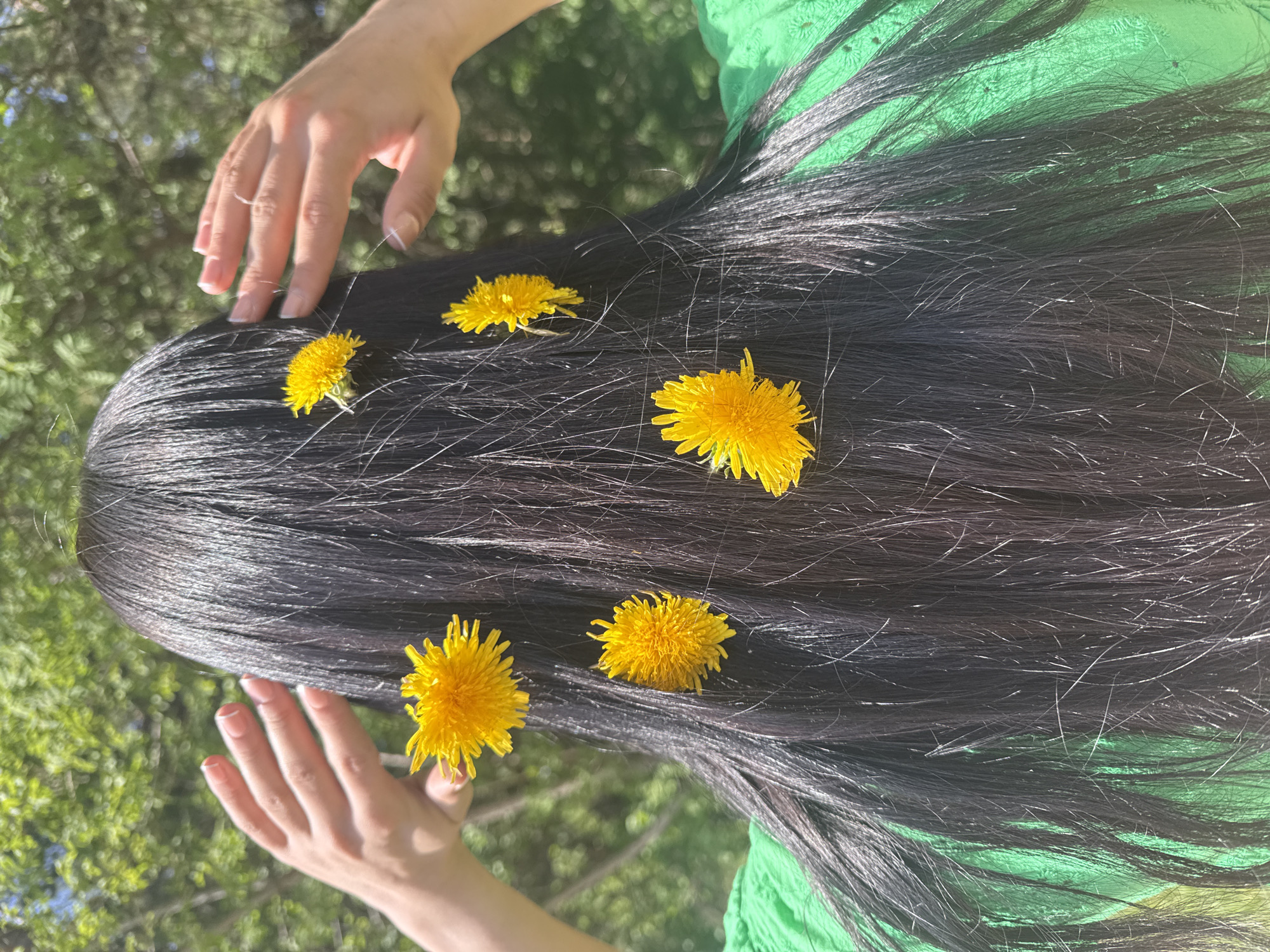 The image shows a person with long, black hair lying on a green surface, likely grass. Scattered in their hair are five bright yellow dandelions. The person's hands are visible on either side of their head, with their fingers gently touching their hair. The background suggests an outdoor setting, possibly a park or garden, with green foliage and trees visible. There is no information suggesting the location to be Votkinsk, Russia.