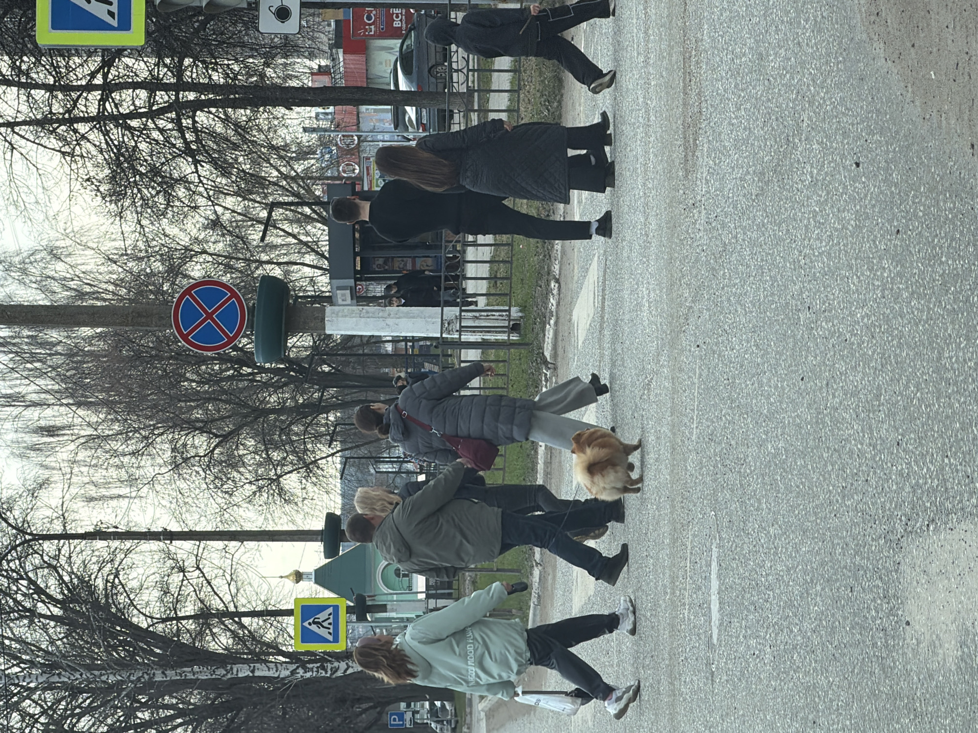 A photograph shows a street scene in Chaikovsky, Russia, with multiple pedestrians crossing a crosswalk. The street appears to be paved and is viewed at a slight angle. The pedestrians are diverse in age and clothing, some walking alone and others in groups. One person has a small tan dog. A pedestrian crossing sign is visible, indicating the designated crosswalk. Bare trees line the side of the street. In the background, buildings can be seen, including a glimpse of a red and white advertisement. A “no parking” sign and a "paid parking" sign are also visible. A church dome is visible above the trees. The day appears overcast.