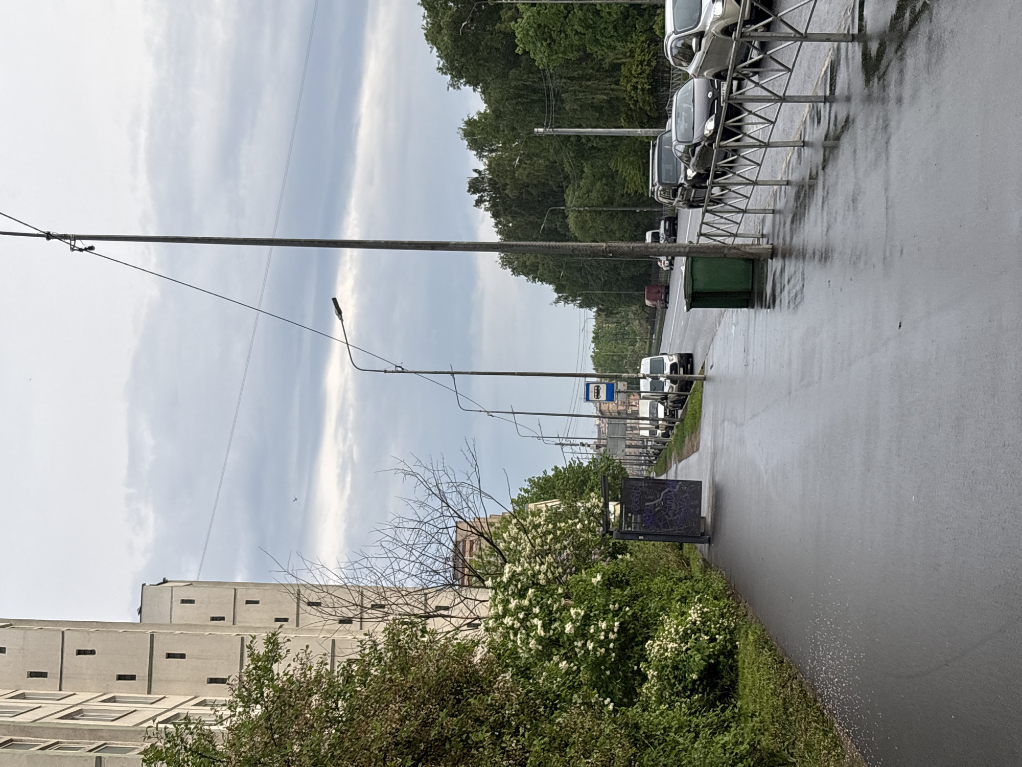 The image depicts a street scene in Saint Petersburg, Russia. A wet asphalt road is visible on the right side of the frame, with parked cars behind a metal guardrail on the right. A green trash container and a bus stop sign are further down the road. Bushes and trees with white blossoms line the left side of the road, with a tall, light-colored building in the background. A utility pole with wires runs across the sky. The sky is overcast with grey and white clouds.