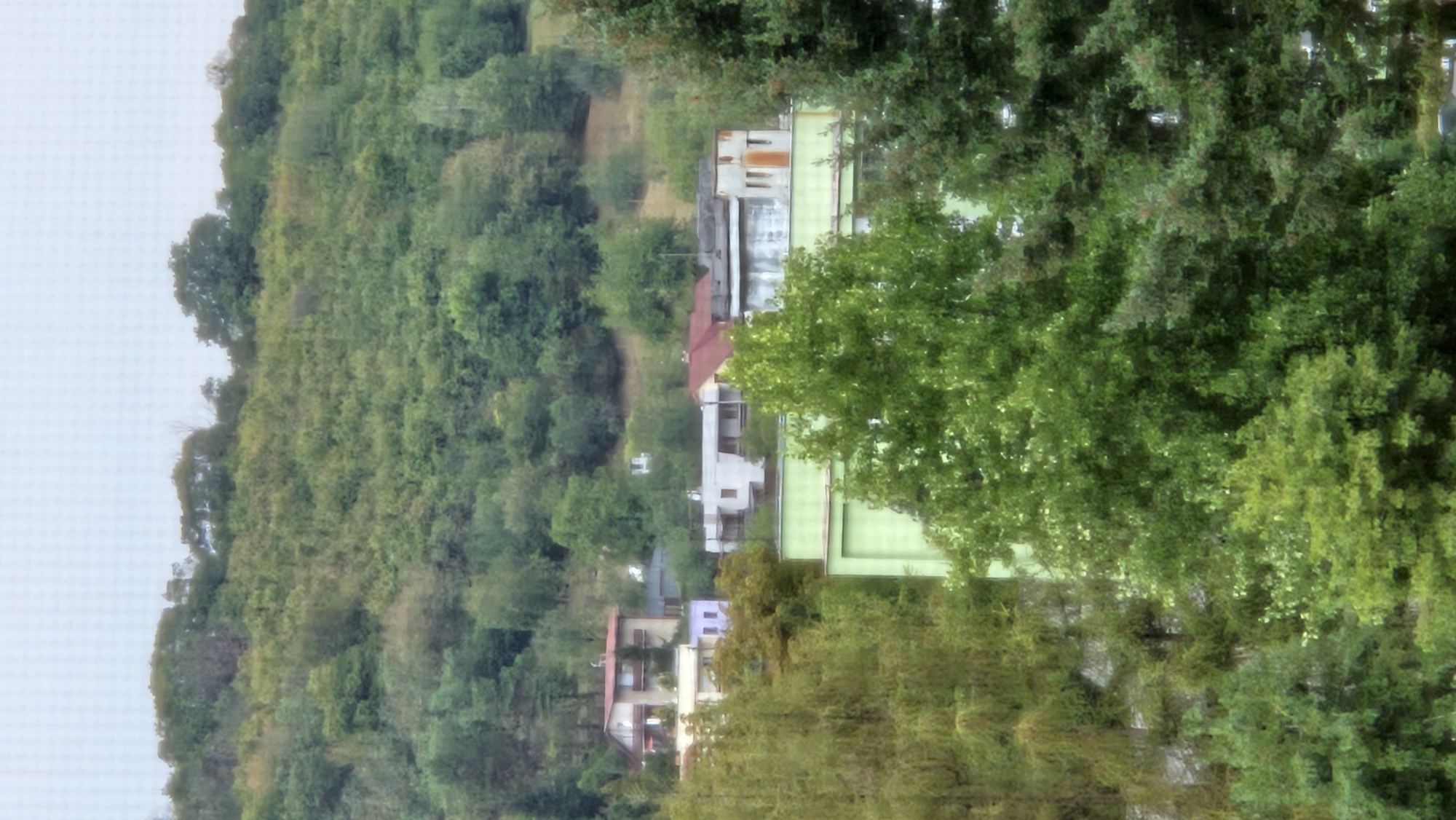 The image depicts a hillside residential area in Prešov, Slovakia, with a dense canopy of trees in the foreground obscuring much of the view. Several multi-story buildings are visible, including a light brown building with a red roof on the left side, a smaller purple building adjacent to it, and a cluster of white and gray buildings with red roofs further to the right. A prominent light green building with multiple windows is situated in the lower center of the frame. The hillside is covered in lush green vegetation and trees. The sky is overcast and light. No people are visible in the scene.