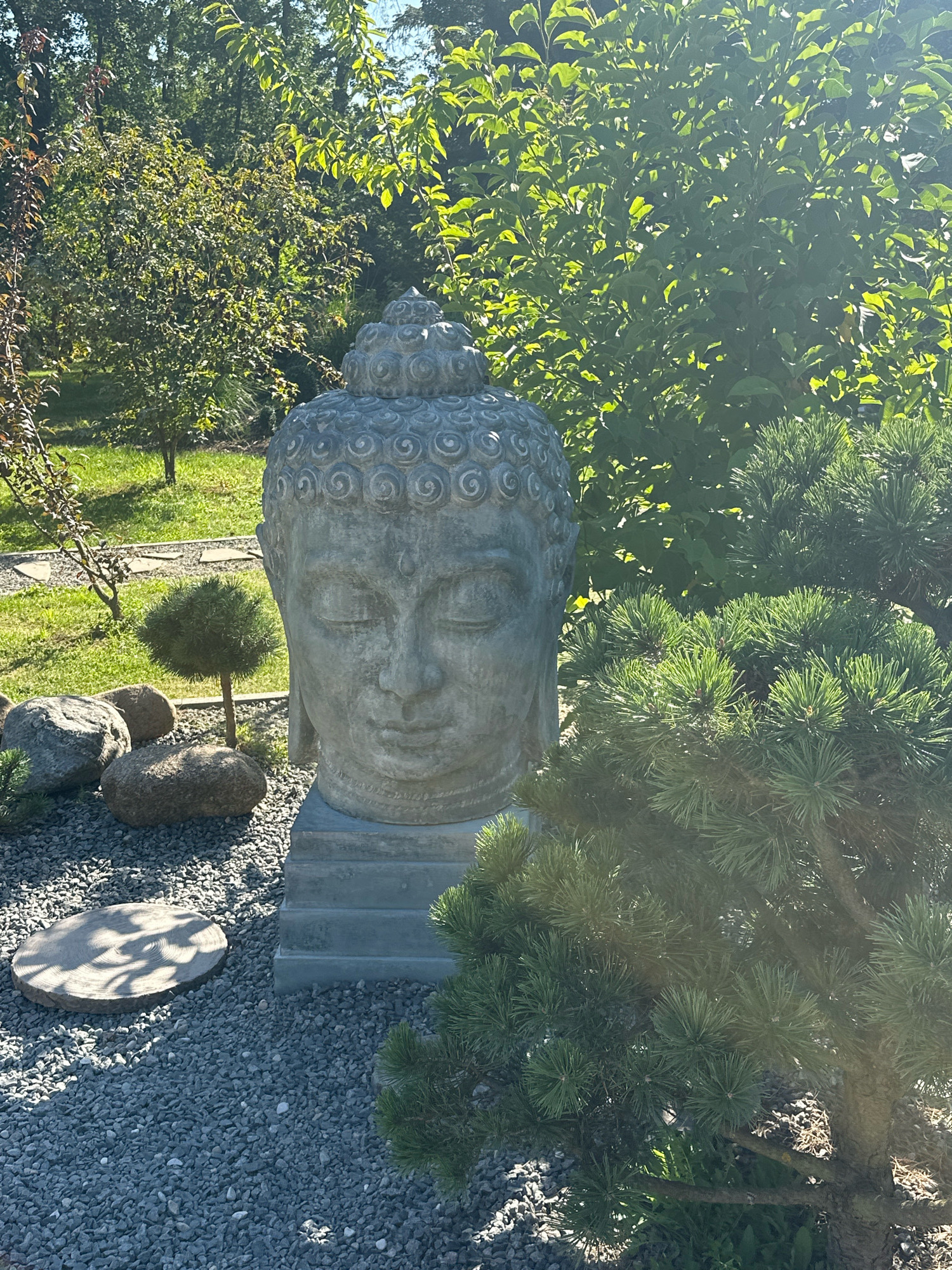 In a tranquil garden setting, a serene stone head of Buddha, with closed eyes and an intricate cranial structure, is prominently displayed. The statue rests on a tiered base surrounded by a bed of grey gravel. To the left of the statue, a circular wooden stepping stone is partially visible, casting dappled shadows. Several large, smooth stones are arranged near the base of the statue, accompanied by a small, meticulously shaped green shrub. The background is lush with verdant foliage, including the branches of trees with green leaves and a dense pine tree with vibrant green needles in the foreground on the right. The scene is bathed in bright sunlight, suggesting a clear day. This image was taken in Minsk, Belarus.