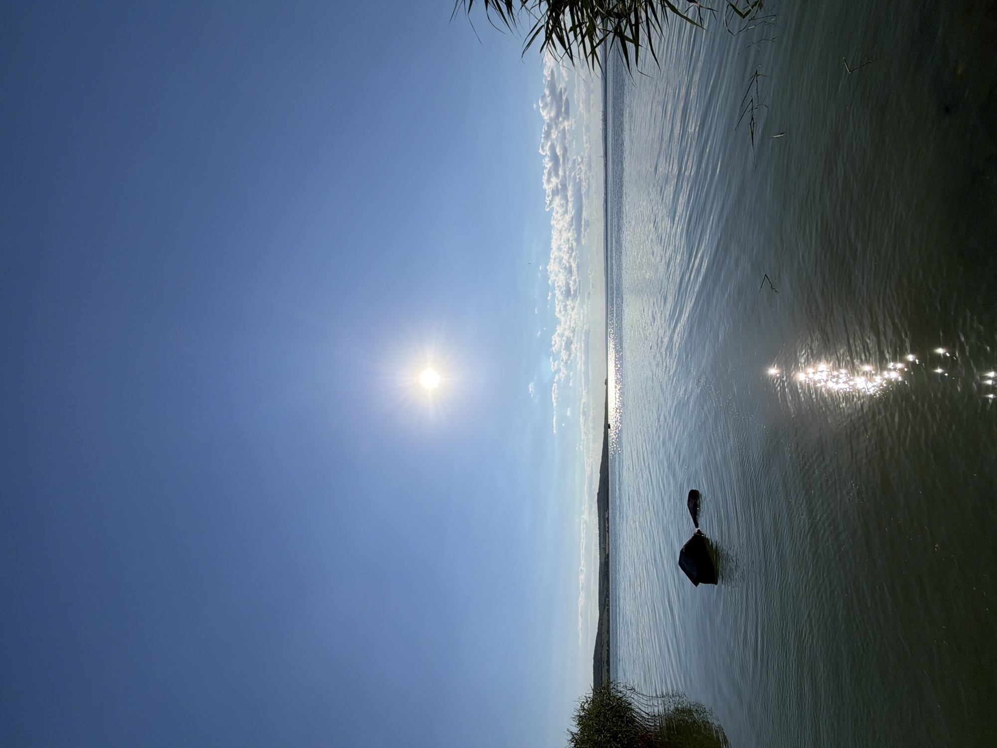 This is a landscape photograph taken on a sunny day at the coast near Burgas, Bulgaria. The image is oriented vertically, with the horizon line running roughly down the center. The sky takes up the left half of the frame, a clear, bright blue with a few wispy clouds scattered across it. The sun is visible as a bright, starburst-like shape in the upper left quadrant, casting a glare that extends towards the right.
The right half of the image is dominated by a body of water, likely the sea. The water surface is rippled, reflecting the sunlight in shimmering patterns. In the foreground, along the bottom edge of the water, there is some green foliage, suggesting the shoreline. Further out on the water, a dark, solitary object is visible, appearing to be a small boat or canoe with an oar resting on top. The distant shoreline on the far side of the water is low-lying, with a subtle rise that hints at hills or cliffs.
The overall mood is peaceful and serene, evoking a sense of a calm, warm day by the sea. The bright sun and clear sky indicate it is daytime, likely mid-morning or afternoon, given the angle of the sun. There is no visible text in the image.