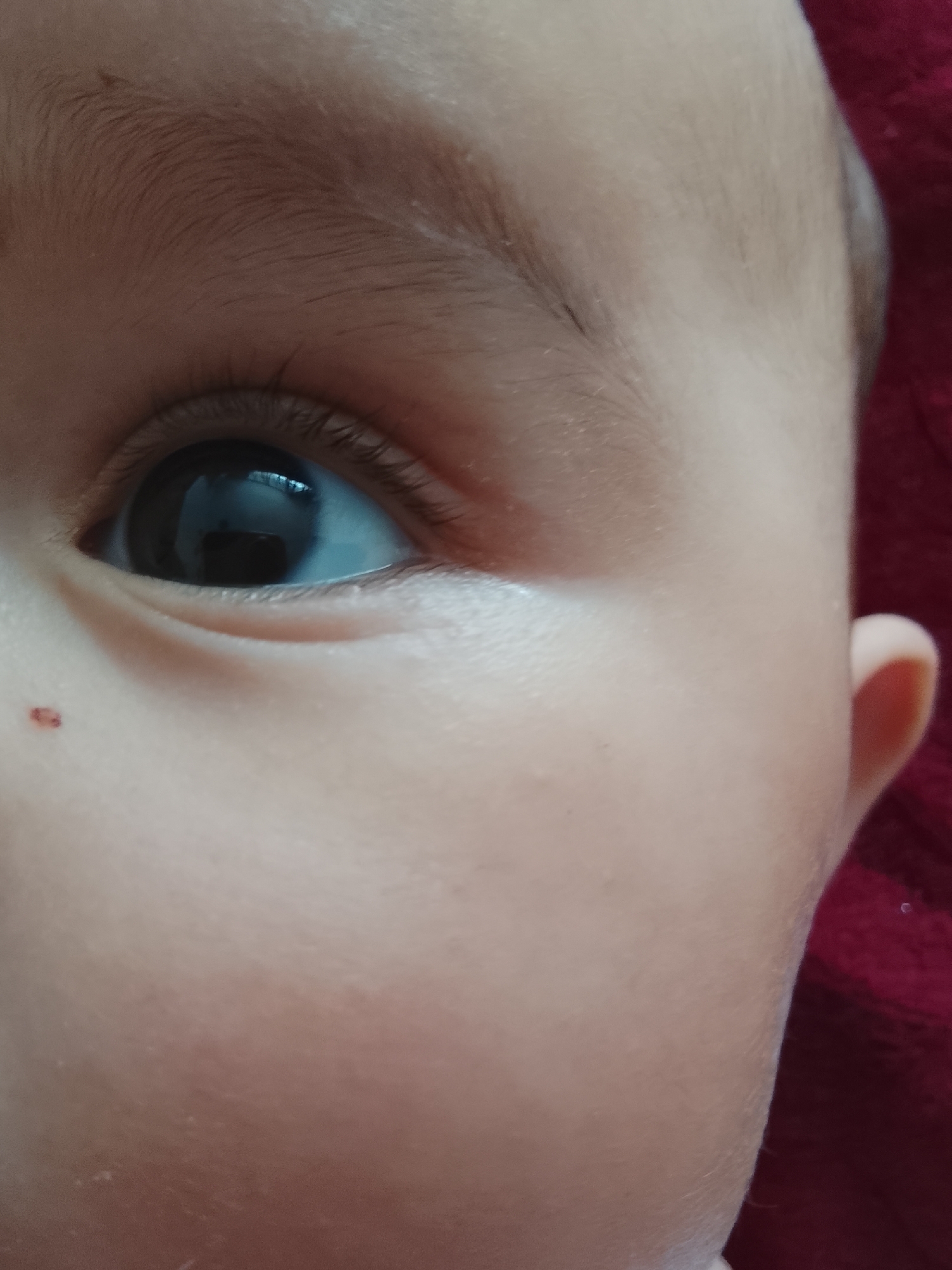 A close-up, high-angle shot captures the left side of a young child's face, focusing primarily on their eye. The child has smooth, light-toned skin. Their dark, round eye is open, reflecting what appears to be an indoor environment with a light source, possibly a window. Fine, dark eyelashes frame the eye, and a sparse, light brown eyebrow is visible above it.
On the cheek, below and to the left of the eye, there is a small, reddish-brown mark, possibly a mole or a birthmark. A portion of the child's ear is visible on the right side of the frame, and a soft, dark red fabric, likely a blanket or clothing, can be seen in the background on the right and upper right. The lighting is soft and even, highlighting the tender features of the child's face.
No specific activity is taking place other than the child's neutral gaze. The scene suggests a calm, indoor setting. There is no visible text in the image. This intimate portrait is set in Kuyeda, Russia.