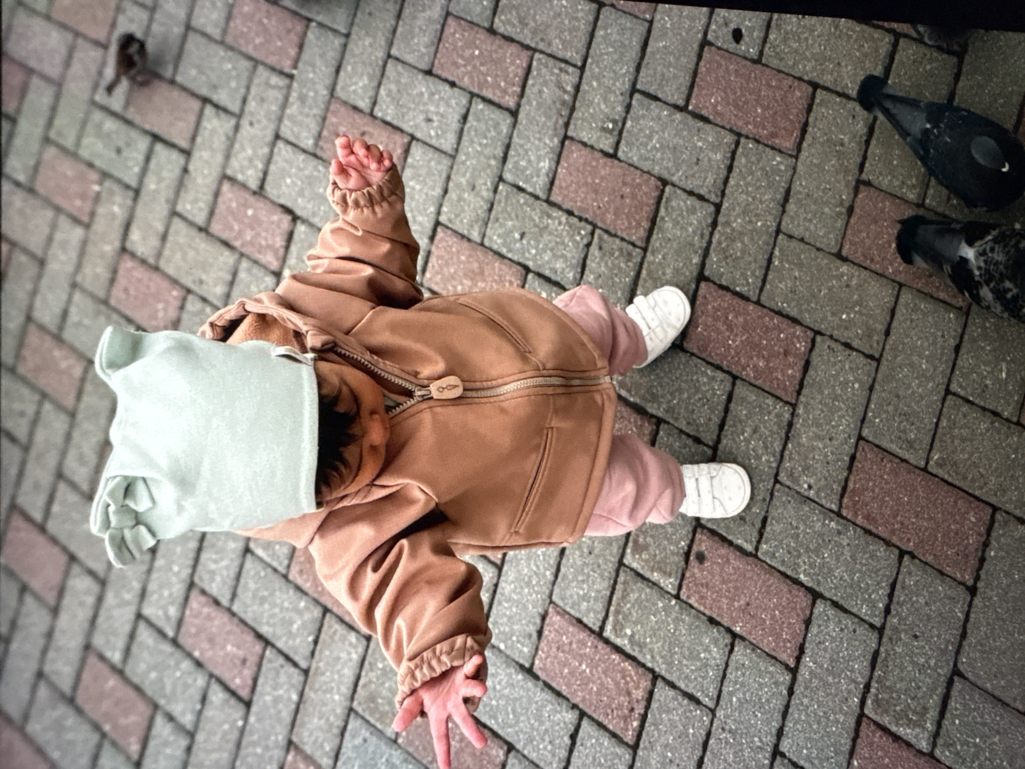 A baby wearing a light green hat, a brown jacket, and pink pants stands on a brick-paved surface. The baby has white shoes and outstretched arms. A small bird is in the upper left corner, and two pigeons are in the upper right corner. The photo appears to be taken from directly overhead. The location is Ембаево, Russia.