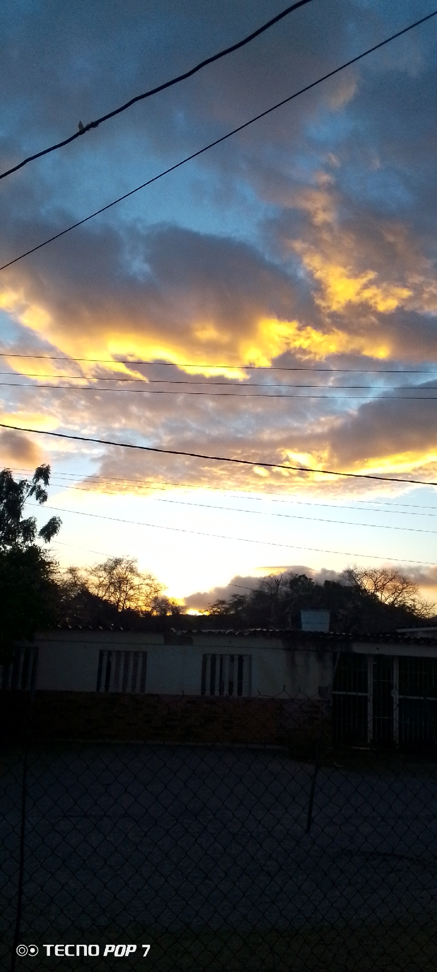 The image shows a scene at dusk in Altagracia, Venezuela. The sky is filled with clouds tinged with orange from the setting sun. Several electrical wires stretch across the upper part of the image. A low building with barred windows and a dark roof is visible below the horizon line. Sparse trees are behind the building. A chain-link fence obscures the bottom portion of the image. In the very top left corner, a small bird is perched on one of the wires. A camera watermark in the bottom left reads "TECNO POP 7".