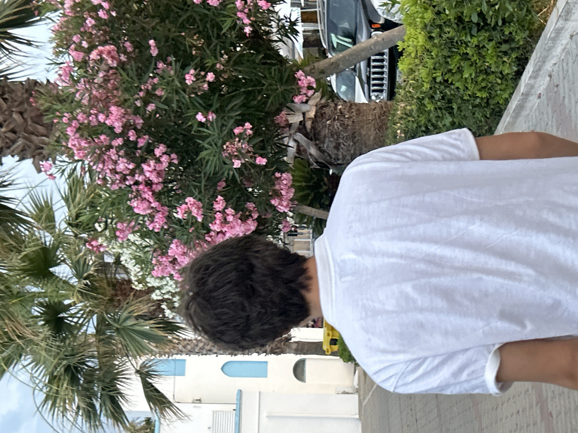 A person wearing a white t-shirt is seen from behind, with their head turned to the left. They are standing on a paved walkway next to a vibrant bush with clusters of small pink flowers and green leaves. To the left of the bush, there are palm trees with large fronds. In the background, a dark-colored vehicle, possibly an SUV, with a prominent grille is parked. Behind the vehicle and further in the distance, there is a building with white walls and arched blue windows. The scene appears to be outdoors, likely in a warm climate given the vegetation. The lighting suggests it could be daytime, possibly late afternoon or early evening, given the soft light. The overall impression is a relaxed, casual setting, perhaps a vacation spot or a residential area. No visible text is present in the image.