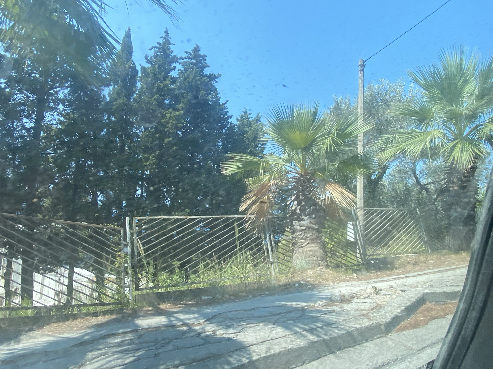 The image depicts a street scene in Bar, Montenegro. In the foreground, a cracked asphalt road with concrete curbs runs diagonally from the bottom left towards the center right. The road surface is uneven and shows signs of wear and tear, with shadows cast across it, indicating a sunny day.
Behind the road, a metal fence, made of diagonal bars, runs across the middle of the frame. The fence appears to be separating the road from a property with overgrown grass and vegetation. Behind the fence, several trees are visible. On the left side of the fence, there are tall, dark green cypress trees. In the center and to the right, palm trees with characteristic fronds are present, some with visible trunks. In the background, beyond the palm trees, more lush greenery and olive trees can be observed.
A utility pole with a wire extending from it stands to the right of the frame, positioned between the palm trees. The sky is a clear, bright blue, with a few faint specks visible. The overall impression is of a residential or semi-rural area with abundant vegetation, characteristic of the Mediterranean climate. There are no people visible in the image, and the scene appears to be static.
