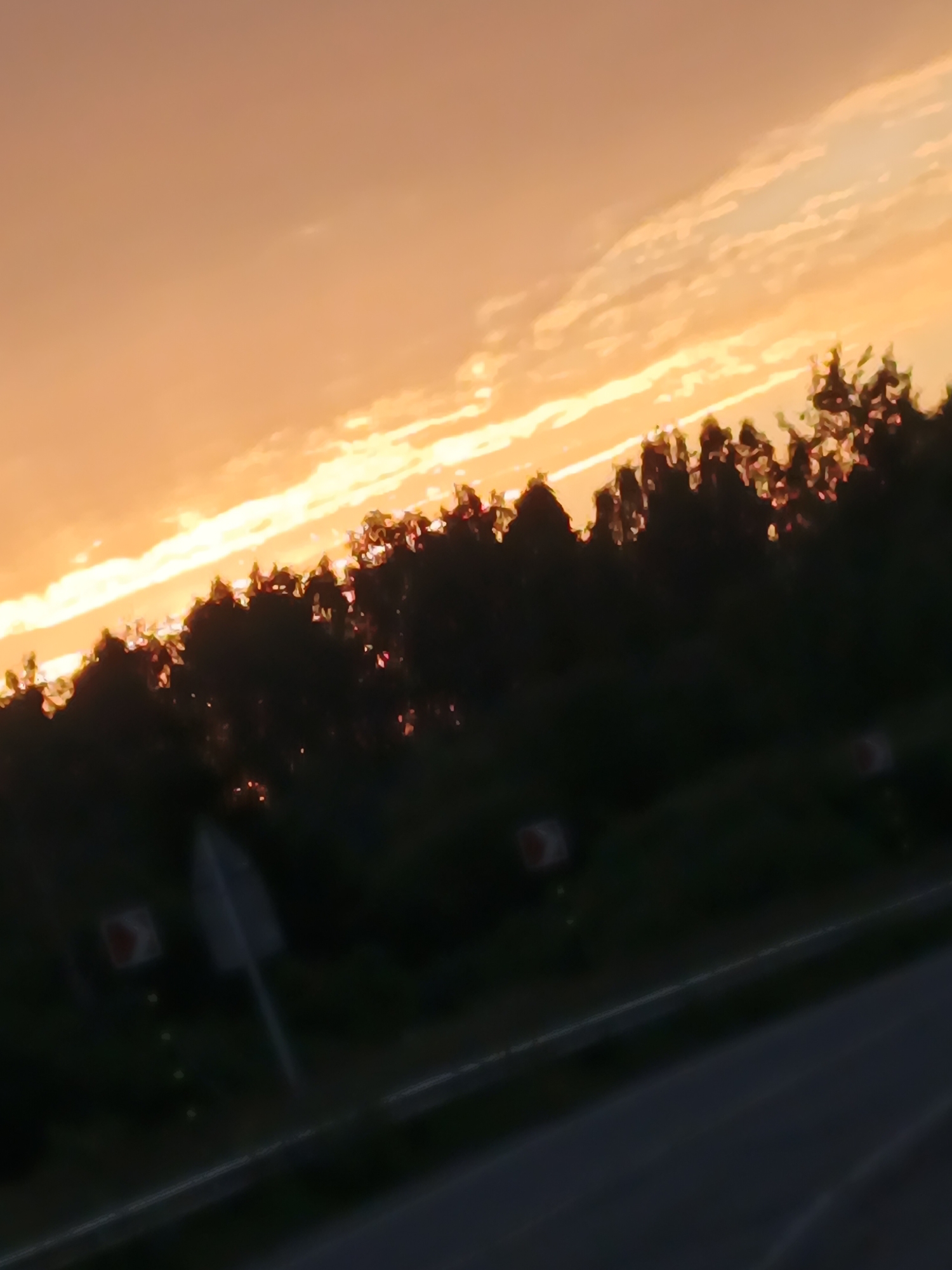 The image depicts a sunset over a landscape that includes trees and a road. The sky is a vibrant orange and yellow, with some wispy clouds. A dark silhouette of trees runs across the middle of the frame, with glimpses of sunlight catching the leaves. In the foreground, a dark road is visible, suggesting it is a highway or a major road. There are also some road signs visible, which appear to be traffic markers. The image is slightly blurred, possibly due to motion or a camera focus issue. The overall scene evokes a sense of dusk and an end to the day. The location is specified as Воскресенское, Russia, implying this scene is captured in that region. No people are visible in the image, and there are no discernible actions or interactions taking place.
