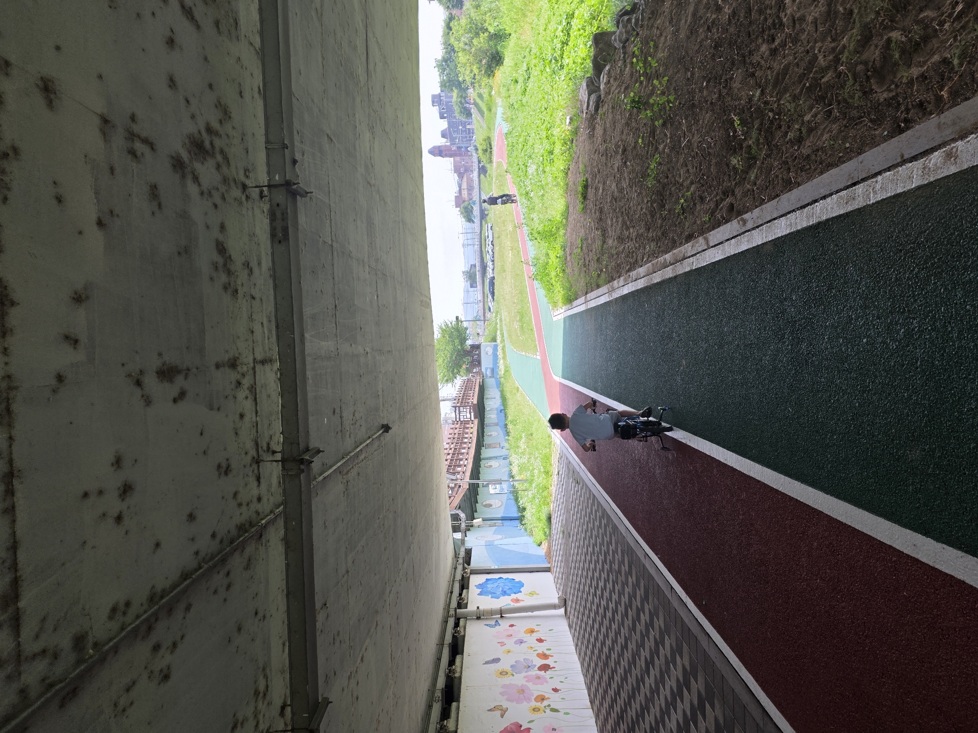 Under a concrete bridge in Anseong-si, South Korea, a young boy rides a bicycle with training wheels on a red asphalt path. The path is bordered by a green asphalt path on the right and a checkered tile path on the left, which is adorned with a mural of colorful flowers and butterflies. Beyond the paths, lush green grass and vegetation grow, with trees and buildings visible in the distance. The sky is overcast, and the overall lighting suggests it is daytime. The bridge's concrete ceiling shows signs of staining and wear, with exposed metal fixtures. Another person is visible cycling further down the red path in the distance.