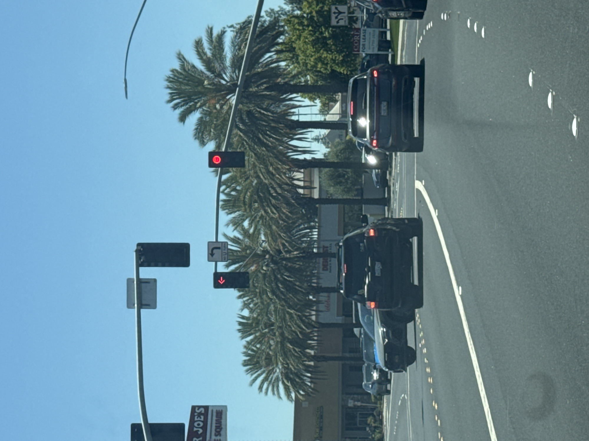 The image depicts a view of traffic on a sunny day in Roseville, California. In the foreground, several cars are visible on a multi-lane road. The traffic light in the center of the frame is red, indicating that vehicles should stop. Palm trees line the sides of the road, and commercial buildings are visible in the background, including a sign for "Trader Joe's." The sky is clear and blue.