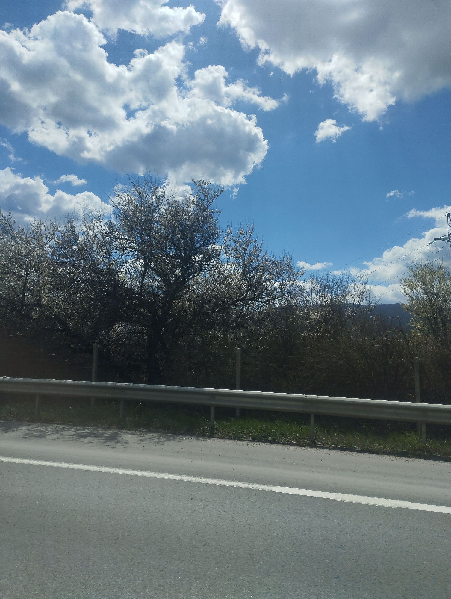 The image depicts a view from a road, showing a gray asphalt surface with a white lane marking. A metal guardrail runs along the roadside. Behind the guardrail, there is a strip of green grass and vegetation, followed by a dense thicket of trees, some with bare branches and others starting to sprout leaves. In the background, a mountain range is faintly visible. The sky is bright blue with scattered white clouds. An electrical power transmission tower is visible in the distance on the right side of the image. The location appears to be outside of an urban center, in a rural setting.