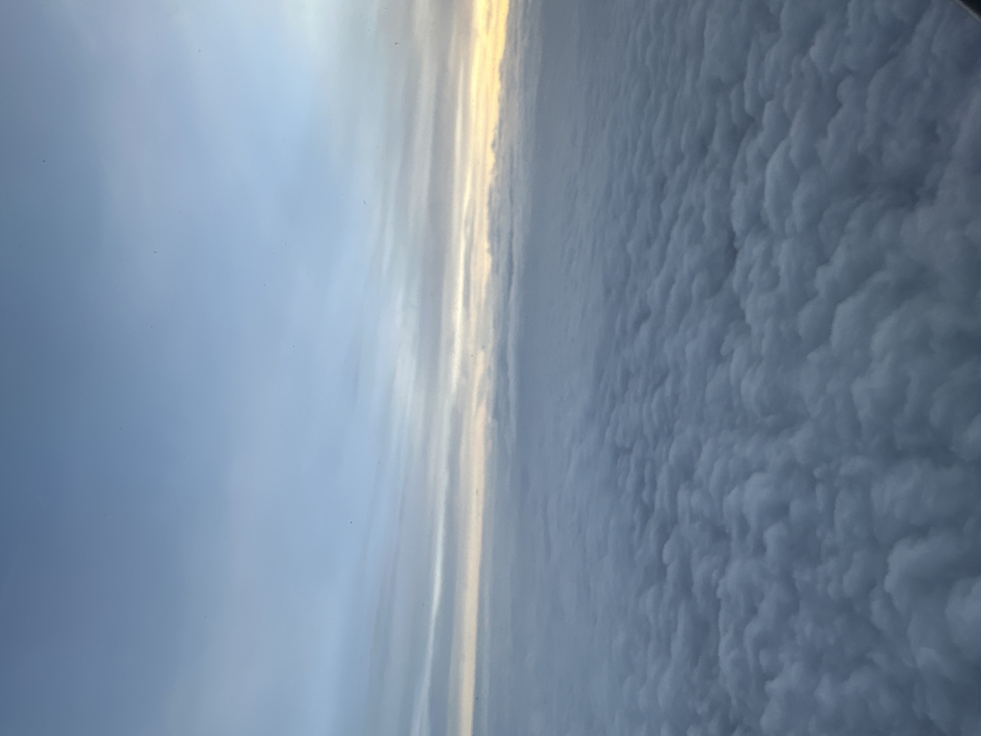 The image displays an aerial view of a cloudscape, likely observed from an aircraft. The scene is split horizontally, with the upper portion showing a light blue sky that gradually brightens to a soft, golden-yellow glow along the horizon line. This warm band of light suggests either sunrise or sunset. Below the horizon, the lower half of the image is dominated by a vast, dense layer of clouds. These clouds have a distinct lumpy, textured appearance, resembling undulating masses or possibly mammatus clouds, and are depicted in various shades of grey and white, indicating depth and shadow. There are no people, man-made objects, or discernible text in the photograph. The overall impression is one of serene flight above an expansive and dramatically lit cloud formation.