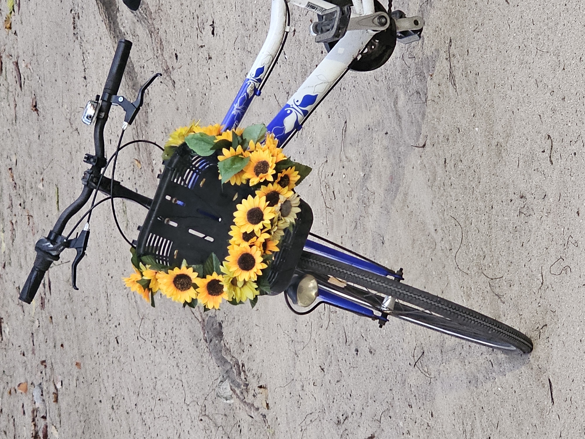A bicycle with a basket of artificial sunflowers is parked on a sandy surface, possibly a beach or park. The bicycle is blue and white with blue accents on the frame. The handlebars are black, and the front wheel is visible, along with a small headlamp. The background is a sandy expanse with a few dried leaves scattered about. No people are visible in the image. The location is stated to be in Denpasar, Indonesia.