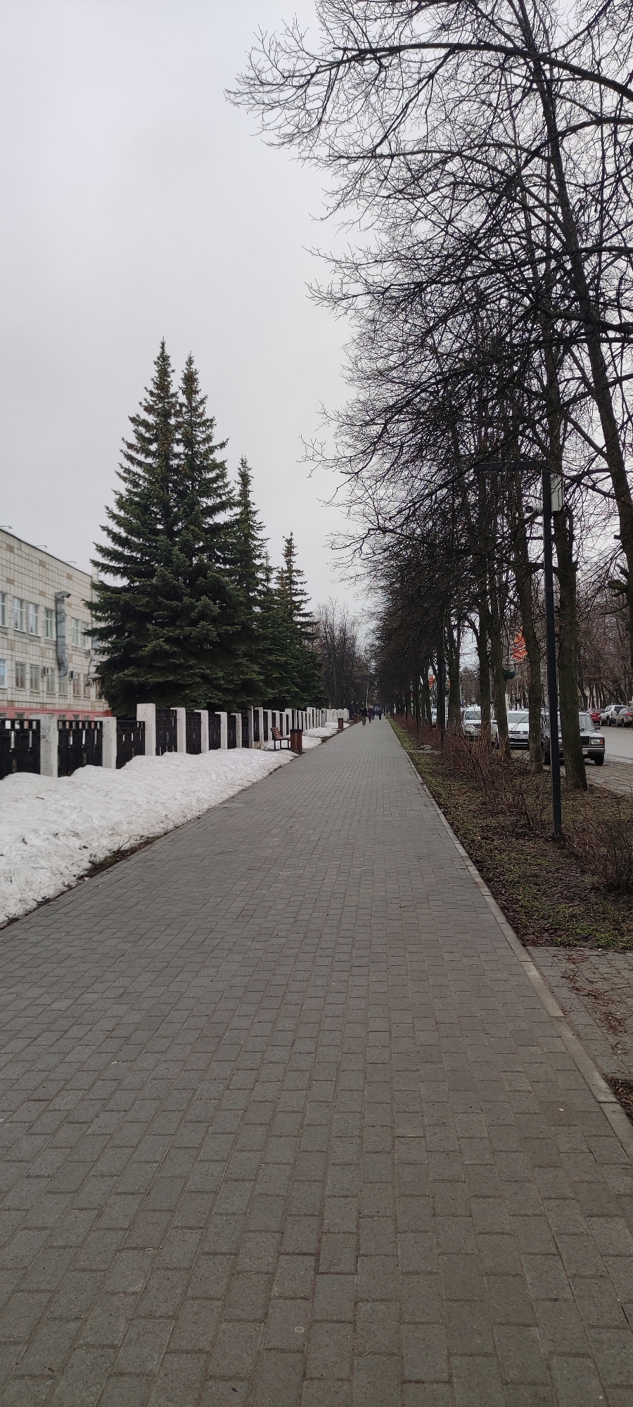 The image depicts a paved walkway in Chaikovsky, Russia, likely a pedestrian zone or park path. On the left of the path are a series of evergreen trees behind a black and white fence with a patch of melting snow. To the right of the path is a line of bare deciduous trees with some street lights. Cars are parked along the street parallel to the path. In the distance, several people are walking along the path. The sky is overcast. A building is partially visible in the background on the left side of the image.