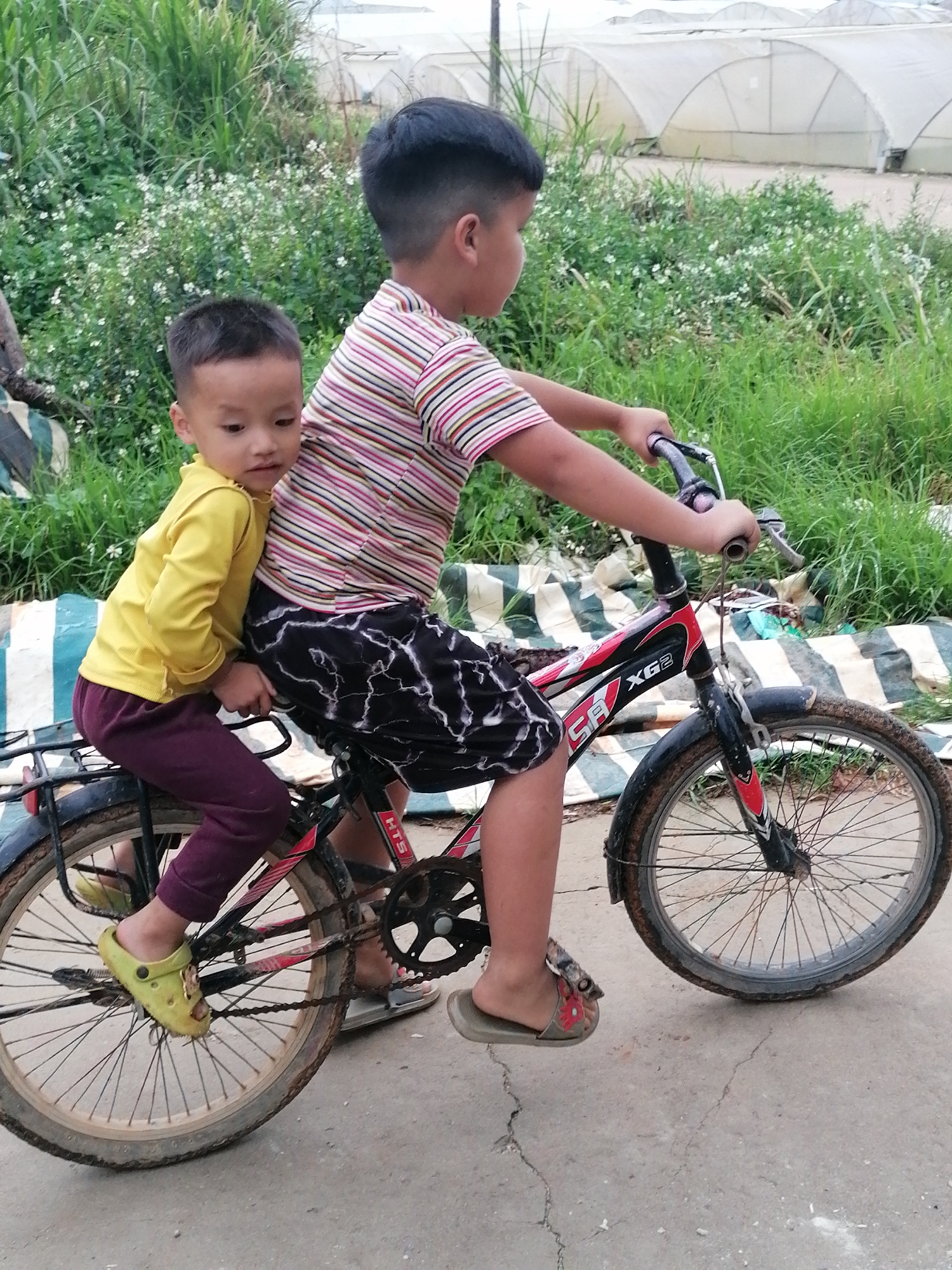 Memory