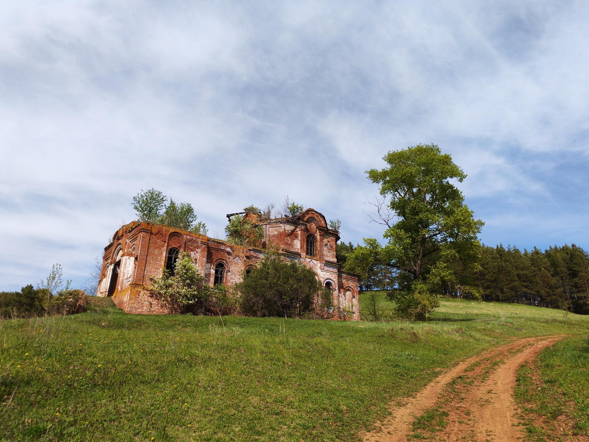 The image depicts the ruins of a red brick building, likely a church, located in Крынды, Russia. The building is dilapidated, with missing sections of the roof and walls. Vegetation, including small trees and bushes, grows within and around the structure. The building sits atop a grassy hill, and a dirt path leads up to it. A large green tree stands to the right of the building. In the background, a line of coniferous trees marks the horizon. The sky is blue with scattered white clouds.