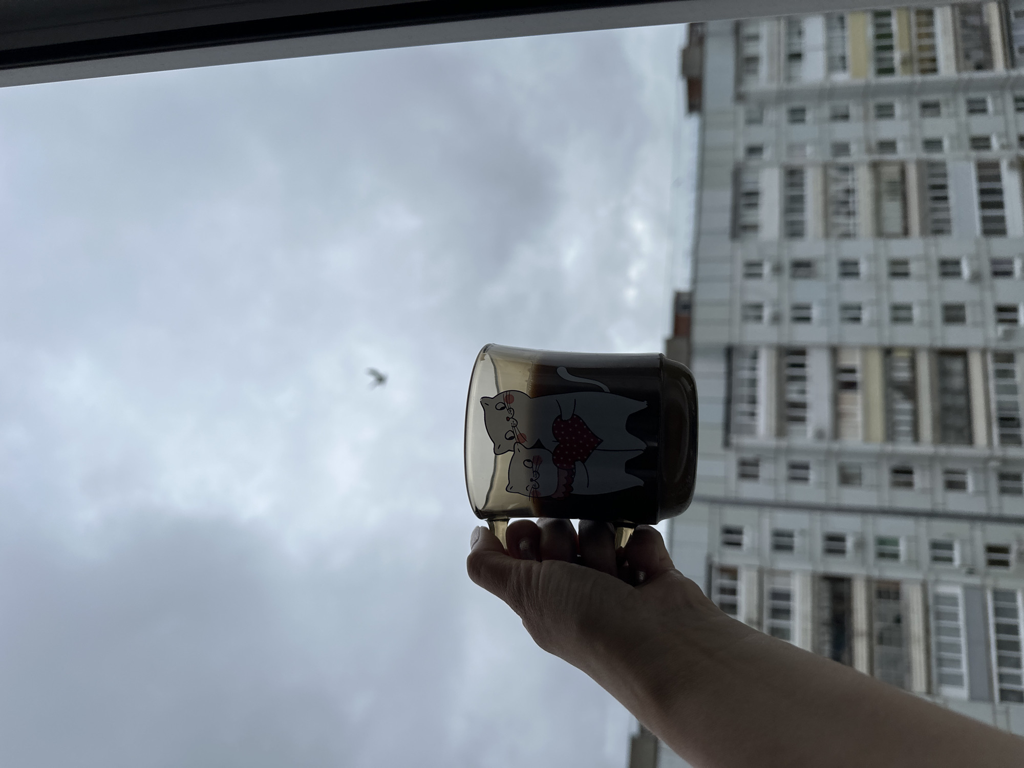 A right hand holds a transparent, brown-tinted mug containing a dark liquid, likely coffee, up towards a window. The mug features a graphic design of two cartoon cats embracing, one holding a red heart. The hand has light-colored manicured nails. Outside the window, an overcast, grey sky dominates the upper portion of the frame. A small, dark, V-shaped object, possibly a bird in flight, is visible against the sky. In the mid-ground and background, an out-of-focus, multi-story residential apartment building with numerous windows and balconies, typical of post-Soviet architecture, stands in the city of Chaikovsky, Russia. A dark vertical window frame is partially visible on the far right.