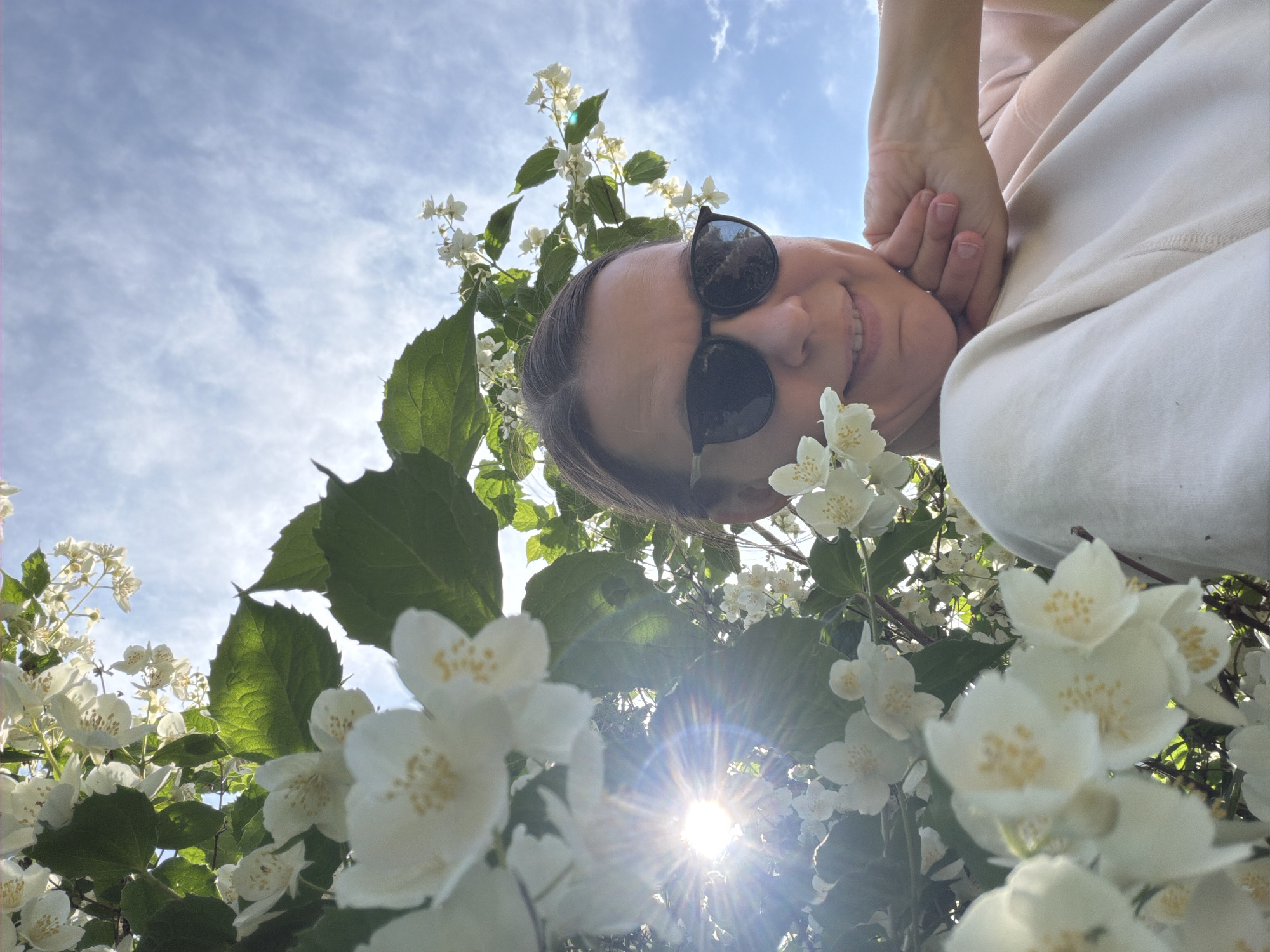 In a close-up, outdoor, low-angle shot, a person wearing dark sunglasses and a light-colored sweatshirt poses against a backdrop of white jasmine flowers and a cloudy blue sky. The sun is visible, creating a lens flare effect through the leaves and flowers. The person's right hand is placed on their chin, and they are smiling faintly. The surrounding environment is lush with green leaves and clusters of white jasmine blossoms. This image was captured in the Priimskiy district of Russia.