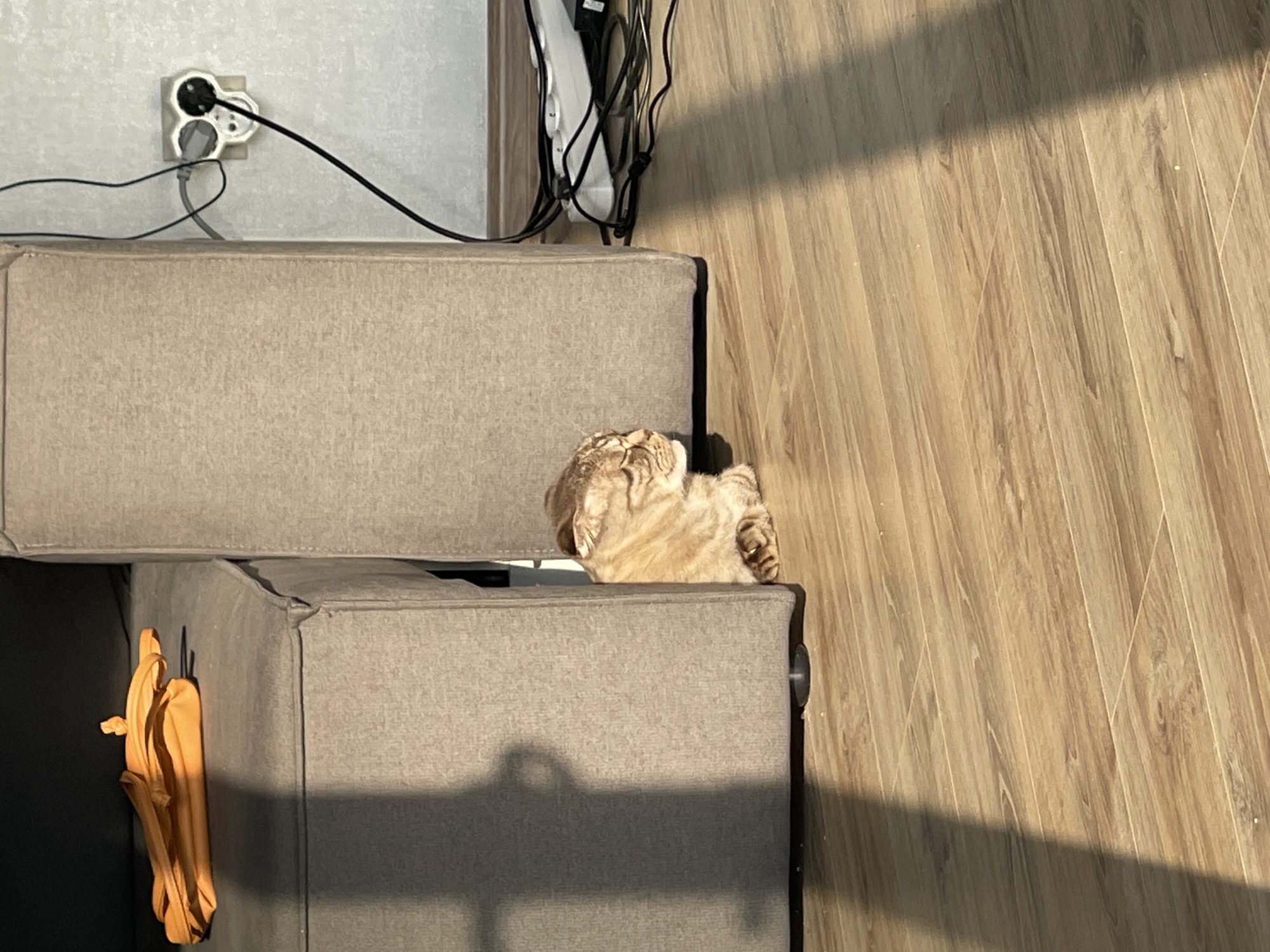 A light brown tabby cat is resting on a wooden floor, tucked between two large, taupe upholstered furniture pieces. The cat is facing right, with its eyes closed, bathed in warm sunlight that casts long shadows across the floor. To the left, on top of one of the furniture pieces, lies a folded orange object, possibly a bag or clothing. In the background, to the right of the furniture, a white power strip with several black cords is visible against a light-colored wall. A wall outlet with plugs is also present on the wall. The overall scene depicts a quiet, sunlit moment indoors, with the cat seeking a comfortable resting spot.