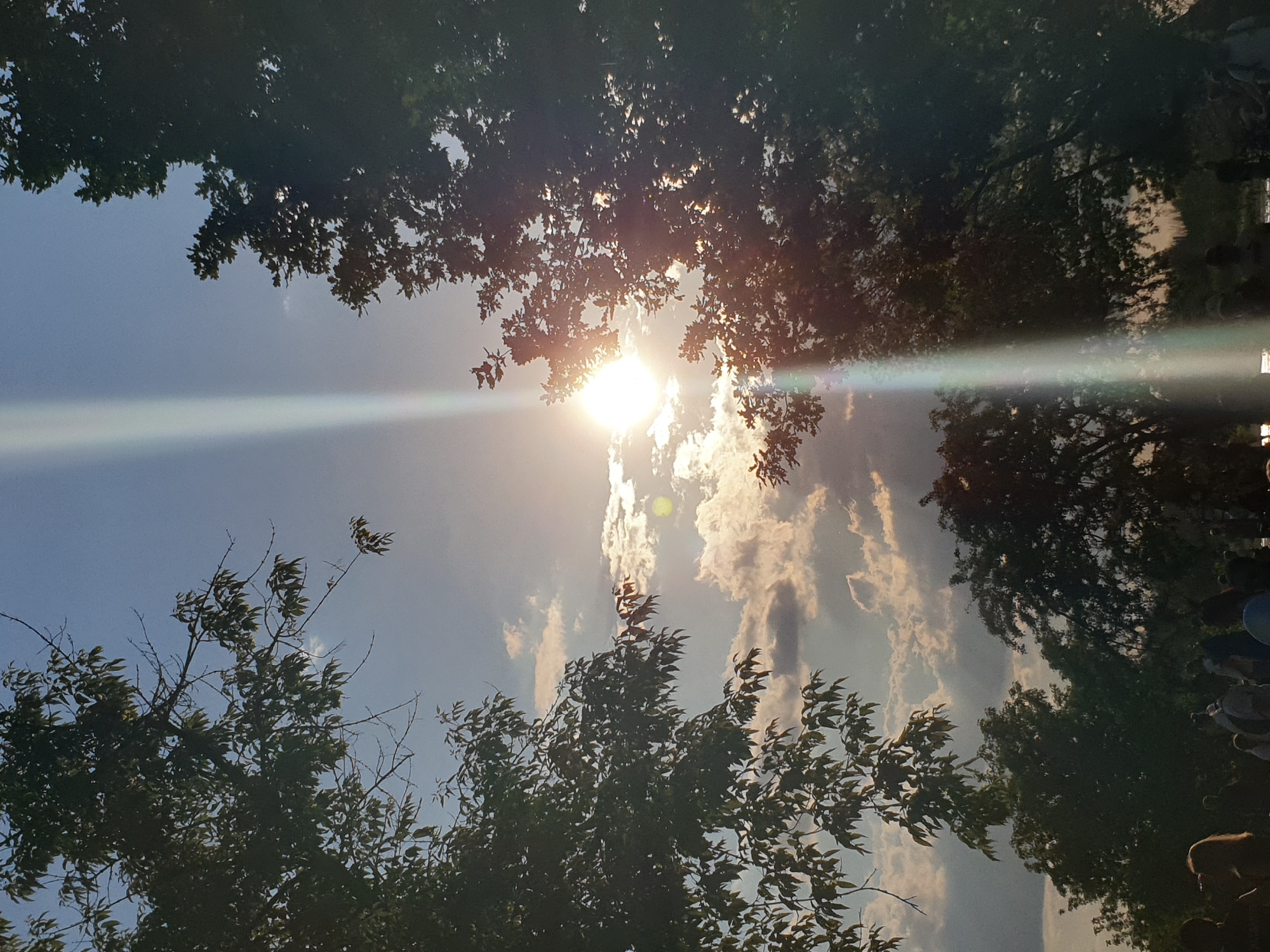 An outdoor scene captured at an unknown location in the city of Unknown, Unknown, depicts a late afternoon or early evening setting with a prominent sun. The sky, a gradient of light blue, is partially filled with scattered cumulus clouds, casting subtle shadows. The sun, a brilliant white-yellow orb, is positioned in the upper right quadrant of the image, partially obscured by tree foliage. A distinct, bright, vertical light streak, indicative of lens flare, originates from the sun and extends downwards through the center-right of the frame. Dark silhouettes of trees frame the left and right sides of the image, with their leaves backlit and appearing dark green to black. Additional trees are visible in the midground and background, further outlining the horizon. The bottom portion of the image reveals a crowd of people, primarily seen as dark silhouettes, standing closely together in an open area, suggesting a public gathering or event. Specific actions or individual details of the people are not discernible due to the backlighting and distance.