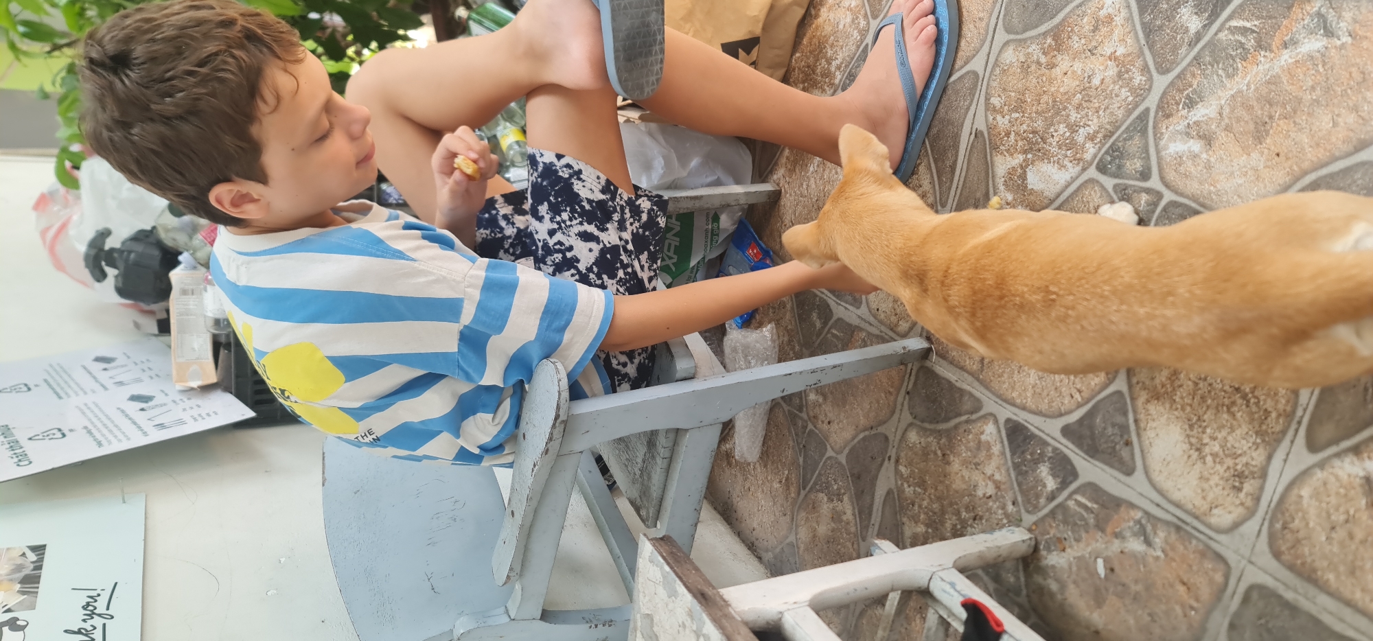 A child in a blue and white striped shirt is sitting on a light blue chair, holding a piece of food in their left hand. A light brown dog is reaching up towards the child's hand. The child has a pair of gray and blue flip-flops on their feet, which are resting on the chair. The floor is tiled with brown and gray stones. To the left of the child, there is a white sign with black writing that includes the words "Chất thải nhựa!" and "thank you!". The sign has some pictures of animals. The scene appears to be outdoors. There is a plant visible in the background, along with what looks like some bags and bottles. The scene is in Đà Nẵng, Vietnam.