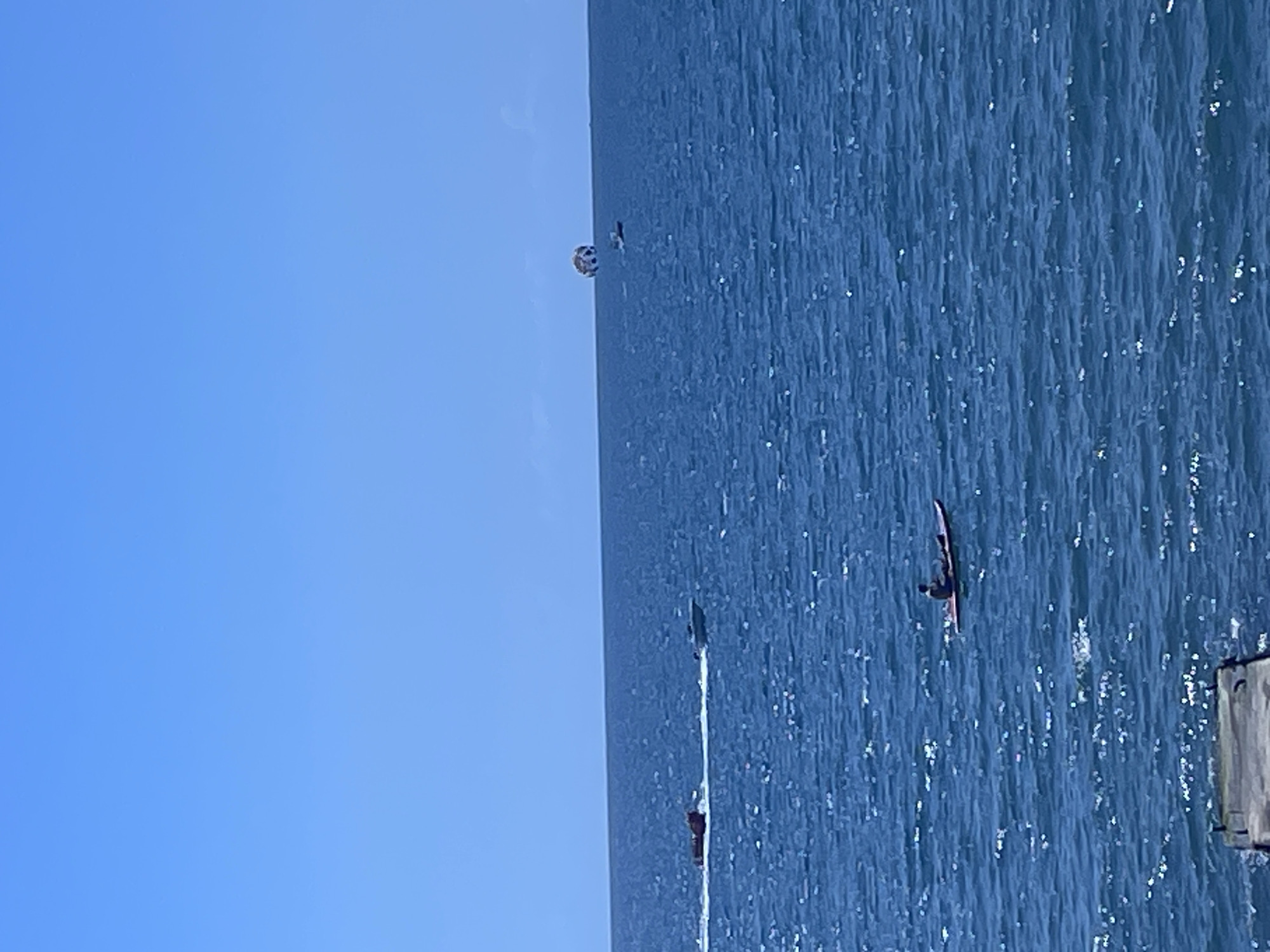 A wide shot shows a clear blue sky over a rippling blue sea. In the distance, a parasail is visible, pulled by a boat. Closer to the shore, a speedboat tows a red inflatable raft, creating a white wake. A single person is seated on a red paddleboard in the foreground. To the bottom left, a portion of a weathered wooden dock is visible. The scene suggests a recreational area in Sochi, Russia, likely during a sunny day.