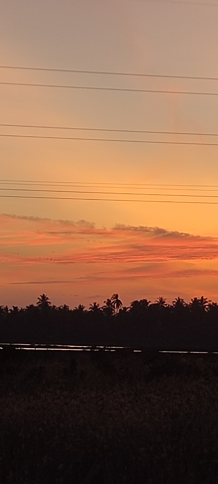 The image shows a landscape at sunset in Lhokseumawe, Indonesia. The sky is orange, with pink streaks in the clouds. There are power lines running across the top of the image. A line of silhouetted trees, likely palm trees, stretches across the middle ground. A dark, shadowy field or marsh occupies the foreground, and a thin line of reflective water separates the trees from the field. There are no people visible in the picture.
