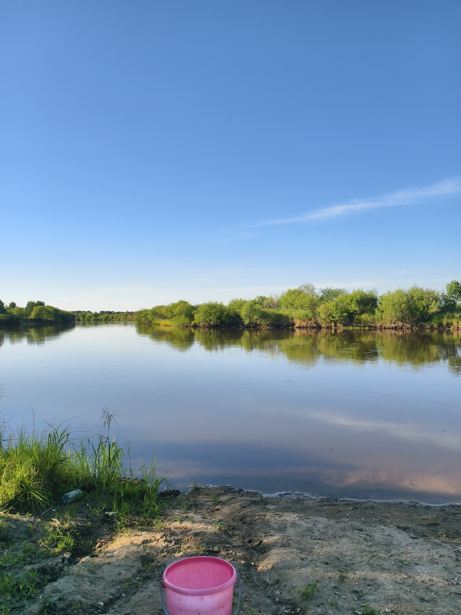 This is a vertical, eye-level shot of a river scene in Nikolskoye, Russia. The sky is a clear, light blue with a faint, wispy cloud towards the right side. The river takes up the majority of the frame, its surface reflecting the trees and sky. On the left bank, lush green grass and reeds grow, with some scattered litter including a plastic bottle and a pink bucket in the foreground. The right bank is lined with dense green trees and bushes. The water is calm, with gentle ripples visible. The overall atmosphere is peaceful and natural, likely during daytime.