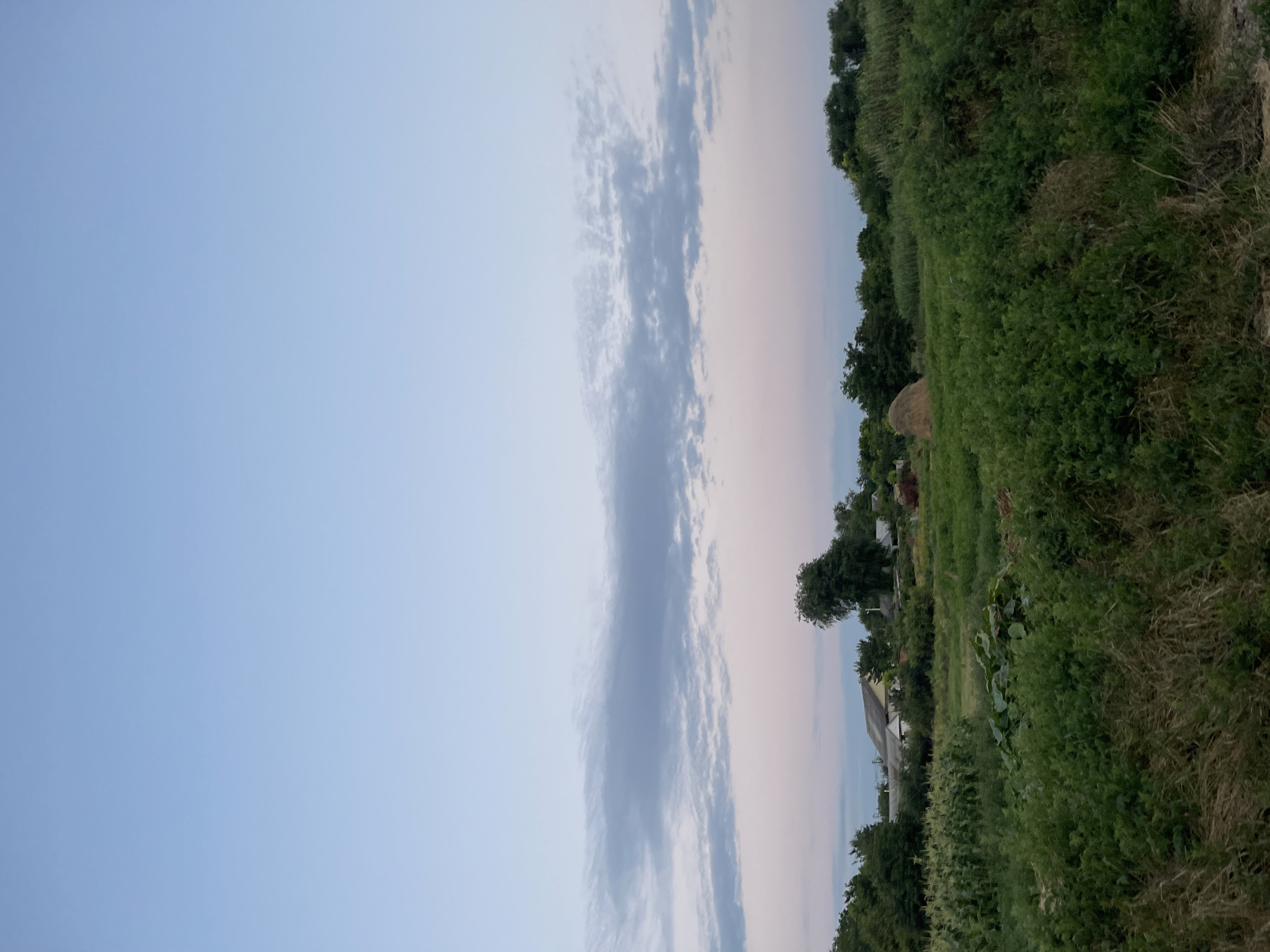The image shows a rural landscape with a field and some houses in the background. The sky is clear with some clouds. The field is filled with greenery and has some plants and a haystack. The houses are scattered among trees. The scene appears to be in the city of Donskoye, Russia, based on the information provided. There are no people or animals visible in the image. The environment is natural and serene, possibly a farm or a village in the countryside.