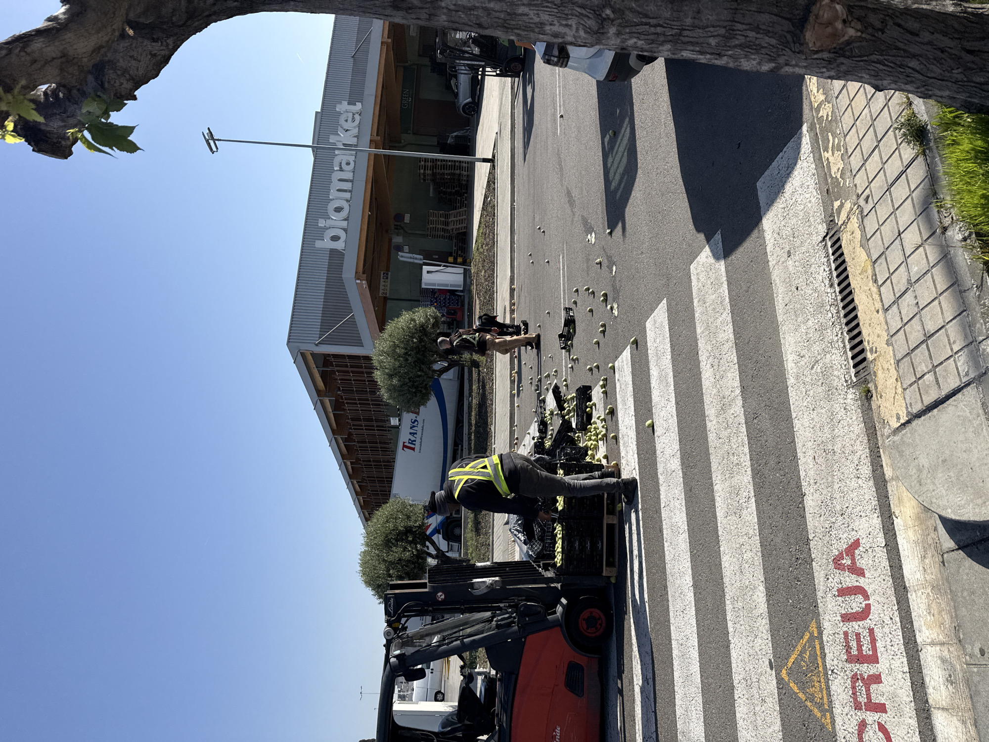 The image shows a scene in Barcelona, Spain, outside a "biomarket" store. A red Linde forklift is parked on a crosswalk. Next to the forklift, a person wearing a reflective vest is bent over, interacting with a pallet of black crates. Many green objects, likely fruits, are scattered across the crosswalk and the road. Two additional people are standing further down the crosswalk. A large "CREUA" marking is visible on the street near the crosswalk. A "Trans" branded vehicle is parked nearby. The sky is clear and blue. A tree branch is visible in the top left corner of the image.