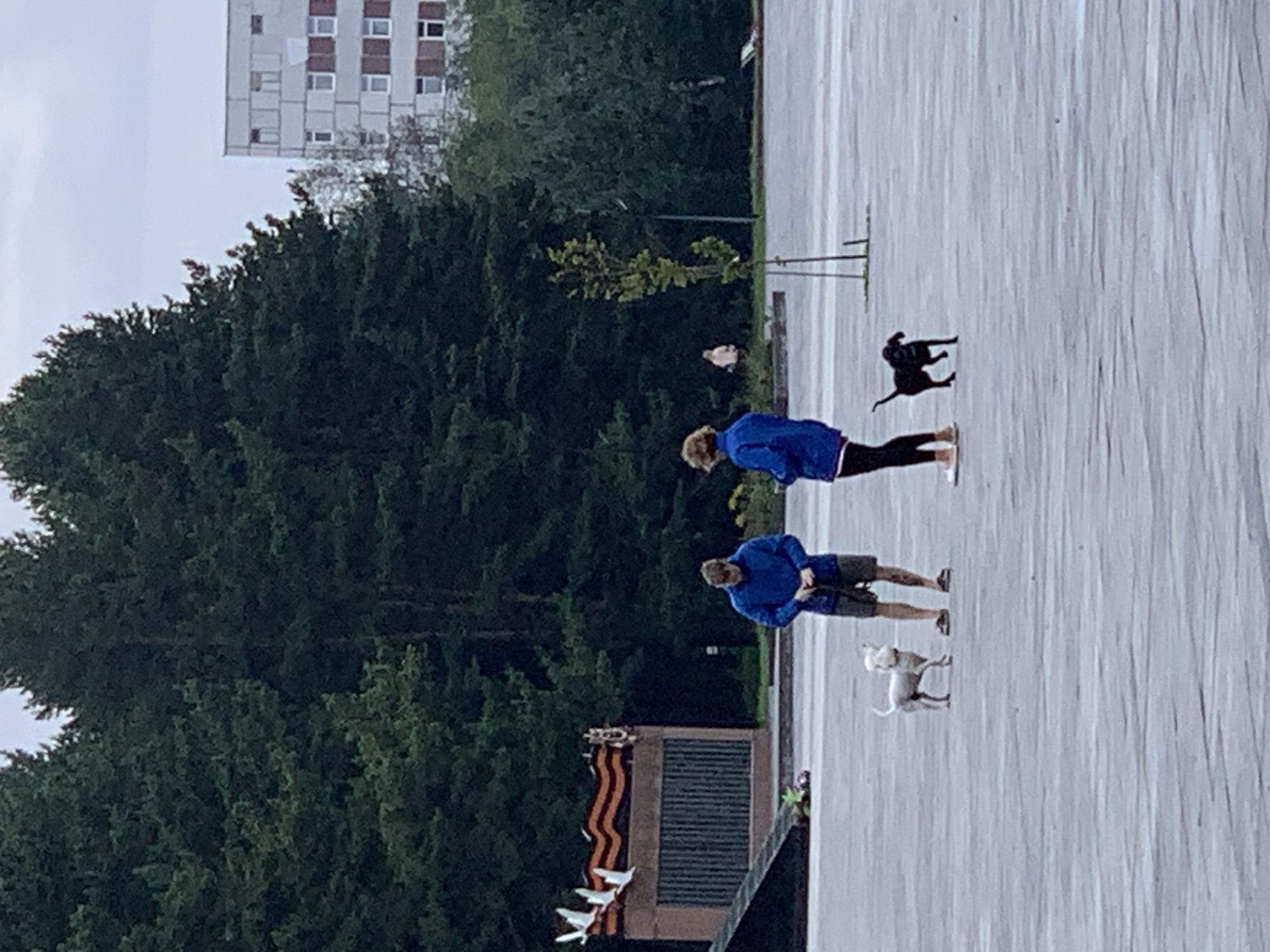The image depicts an outdoor scene in Prokopyevsk, Russia. In the foreground, two individuals, one male and one female, are present with two dogs on leashes. The male, on the left, is wearing a blue jacket and dark shorts, holding a leash attached to a small white dog. The female, on the right, is wearing a blue jacket and black leggings, holding a leash attached to a small black dog. The dogs are standing near their owners. The ground is paved with a grey, textured surface. In the middle ground, there is a memorial structure with white doves on top and an orange and black ribbon. Behind the memorial, a dense line of dark green coniferous trees forms a backdrop. Further in the background, a multi-story, light-colored building with numerous windows is visible, characteristic of urban architecture. The sky is overcast. The overall atmosphere is subdued, possibly indicating a cloudy or dusk setting.