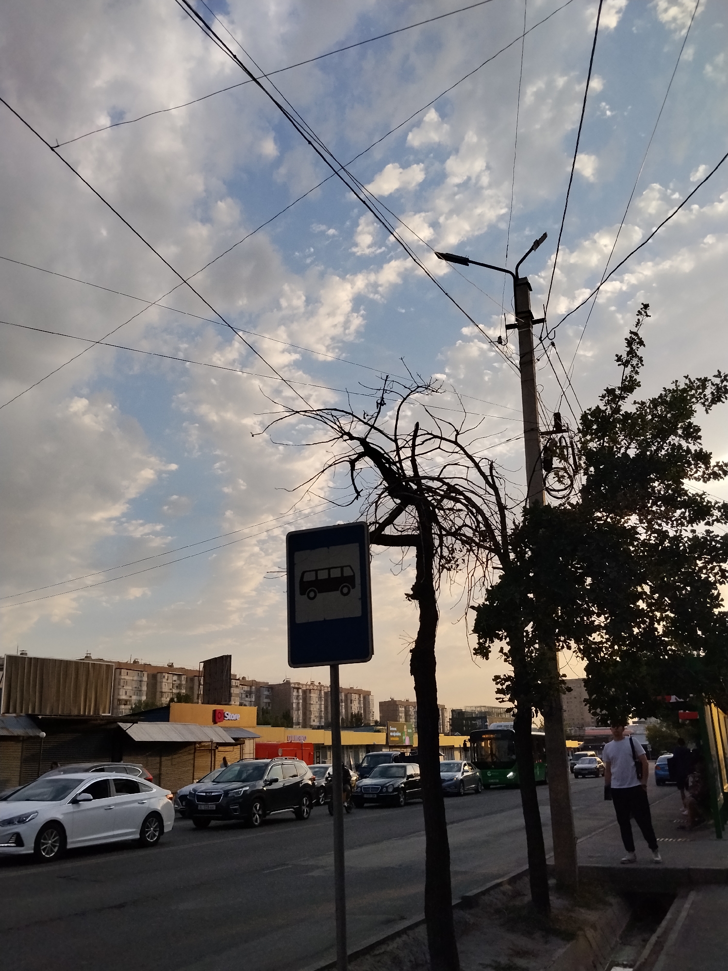 The image depicts a street scene in Bishkek, Kyrgyzstan, during what appears to be late afternoon or early evening, given the lighting conditions. The sky is partly cloudy with a mix of white and gray clouds against a pale blue backdrop. Several power lines crisscross the sky, suspended from a utility pole visible on the right side of the frame. This pole also supports a street light.
In the foreground, a bus stop sign with a depiction of a bus is prominently displayed. Adjacent to the sign is a bare, skeletal tree, likely a deciduous tree in a state of dormancy or drought. To the right of the utility pole, a large, leafy tree casts a shadow.
The street itself is paved and shows signs of traffic. A white sedan is in the left lane, and further down the road, a dark SUV is visible, along with other vehicles including a green bus, a black sedan, and a blue car. The buildings in the background are multi-story residential apartment blocks and commercial structures with storefronts.
On the sidewalk to the right, a young man wearing a white t-shirt and dark pants is standing, facing towards the street and appearing to be waiting. Another person, partially obscured, is standing further down the sidewalk. The sidewalk area also features a concrete drainage channel. The overall impression is of a typical urban environment with infrastructure and daily life unfolding.