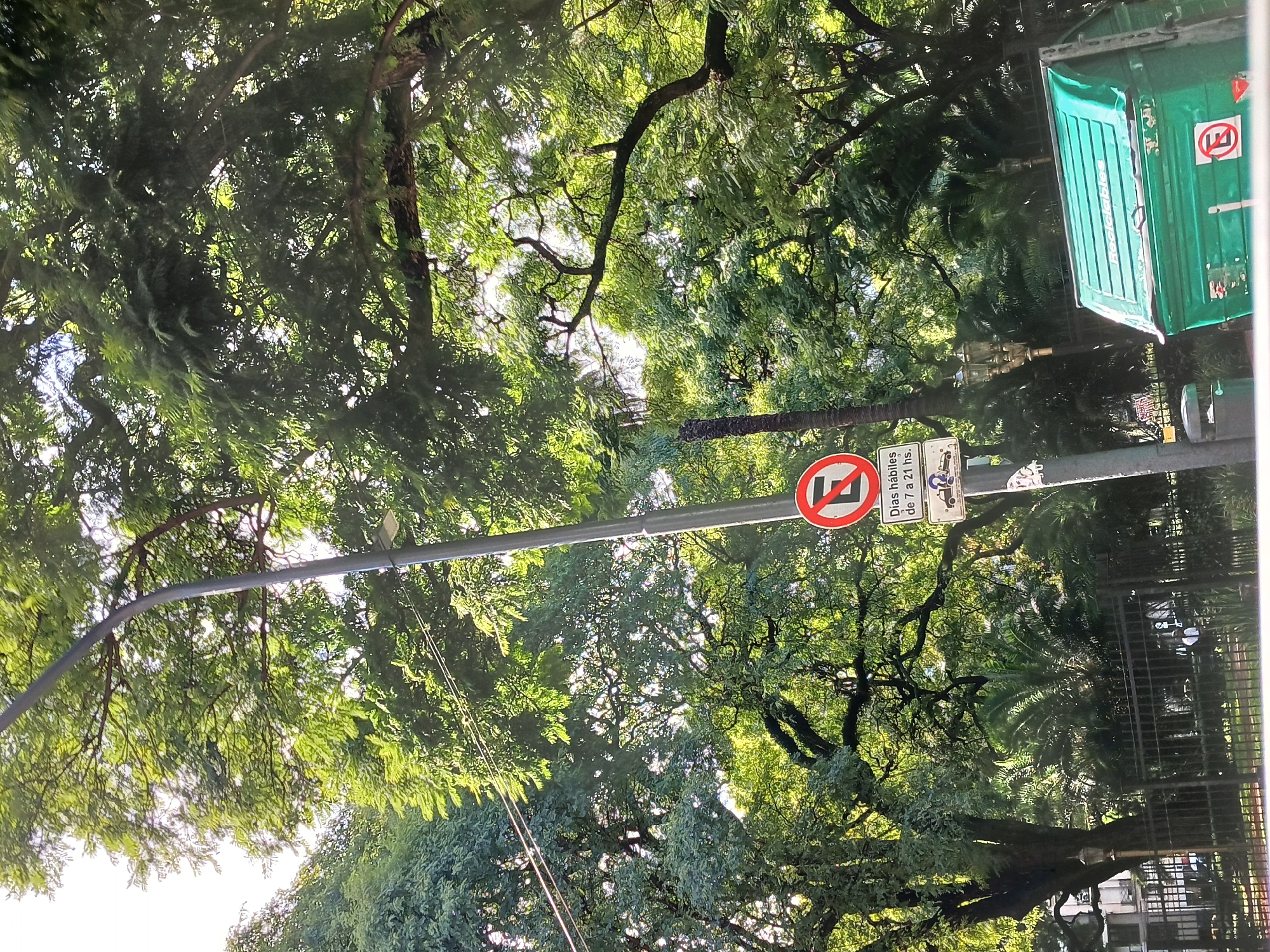 The image depicts a street scene in Buenos Aires, Argentina. The primary subject is dense tree foliage, filling much of the frame. A street light pole is visible, bearing two signs: a circular "No Parking" sign with a red border and diagonal line over the letter "E", and a rectangular sign indicating restrictions on weekdays (7 a 21 hs.). A portable toilet with "Reciclables" written on the door is positioned to the right. In the background, glimpses of buildings and fencing can be seen through the trees. The overall scene conveys an urban environment with significant greenery.